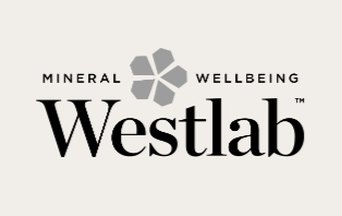 Westlab logo in black on a white background