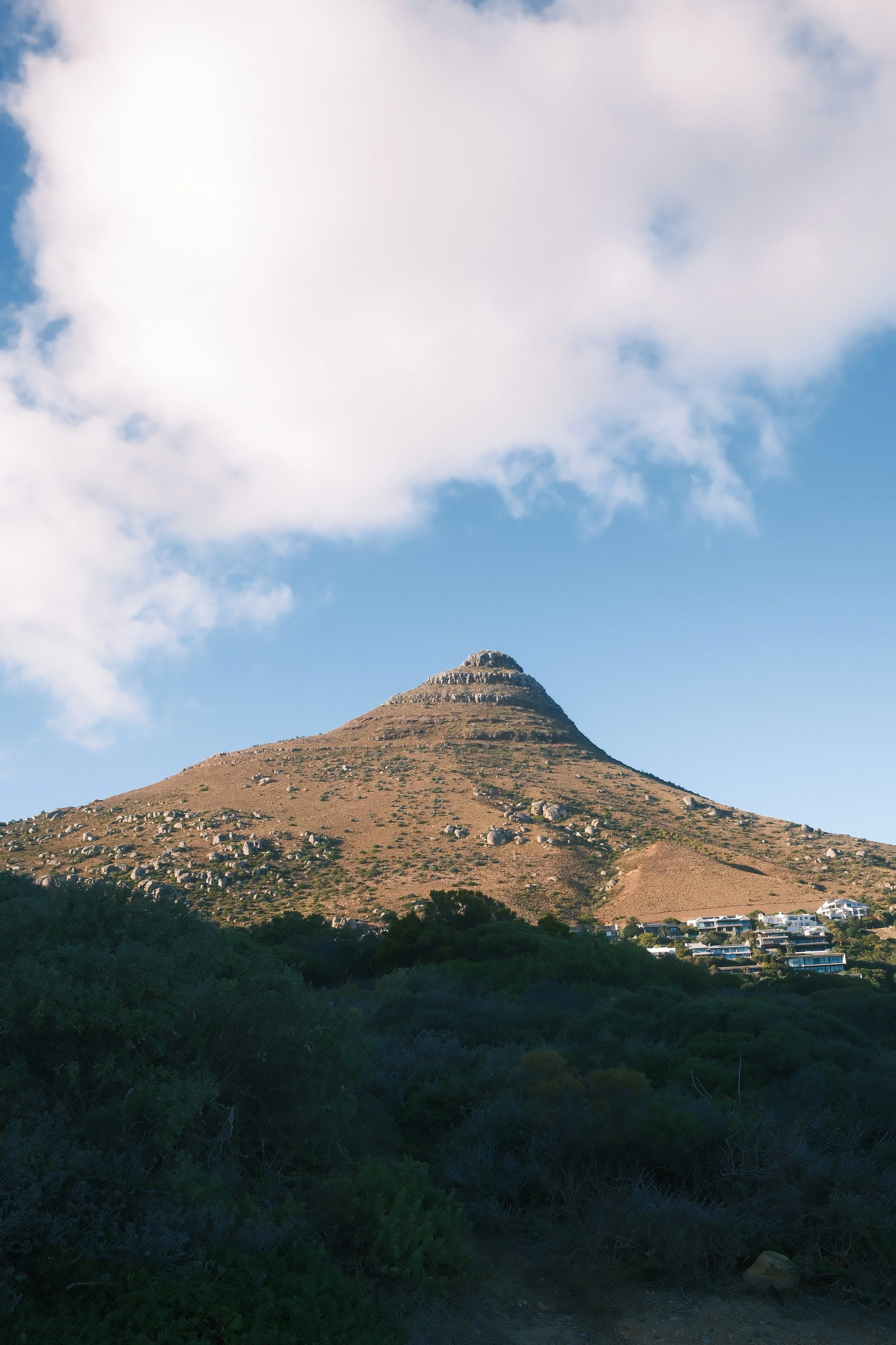abbott-lyon-summer-campaign-jen-spence-production-cape-town-12.JPG