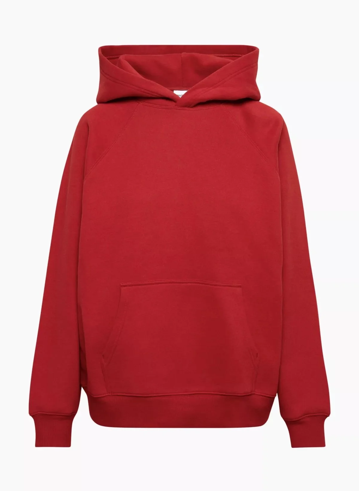 Aritzia Hoodie