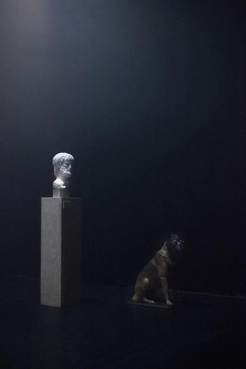 © Laura Van Severen