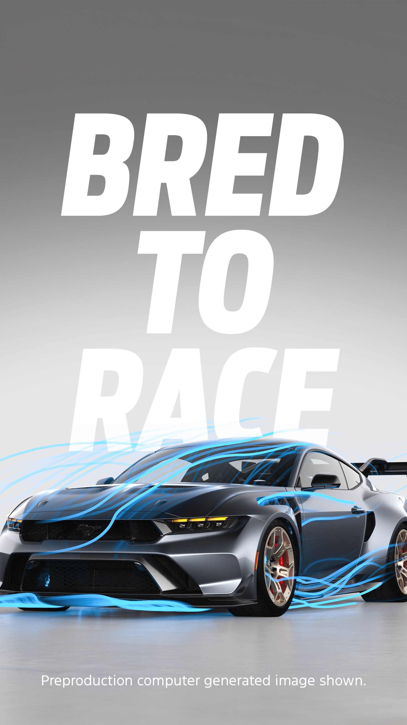 bred-to-race-story.jpg