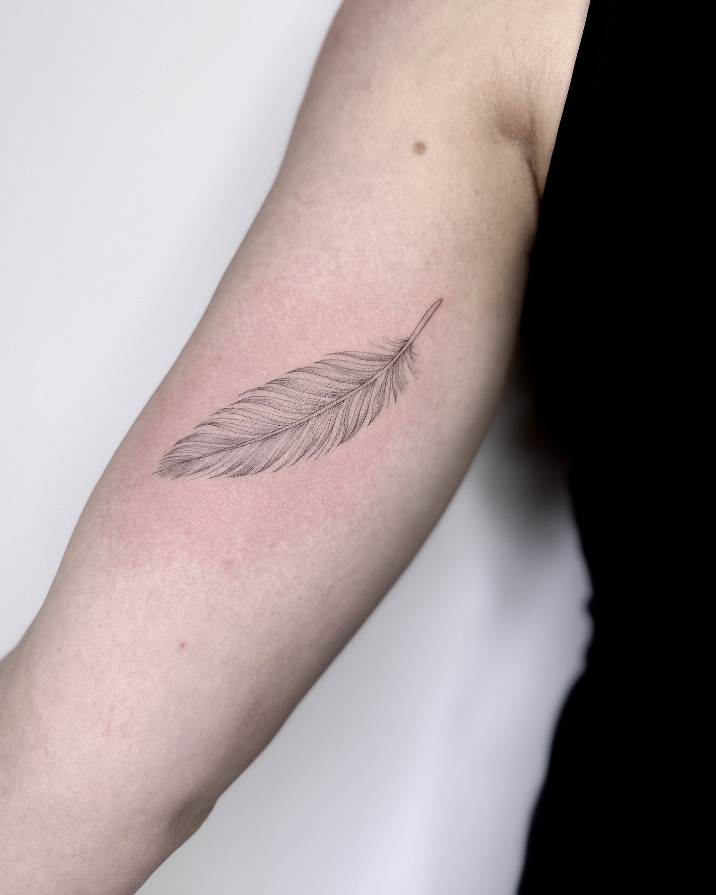 🪶🪶

#tattoo #tattoos #fineline #finelinetattoos