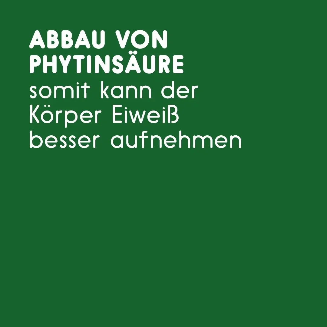 Text auf grünem Hintergrund: "Abbau von Phytinsäure somit erhöhte Zugänglichkeit von Mineralstoffen"