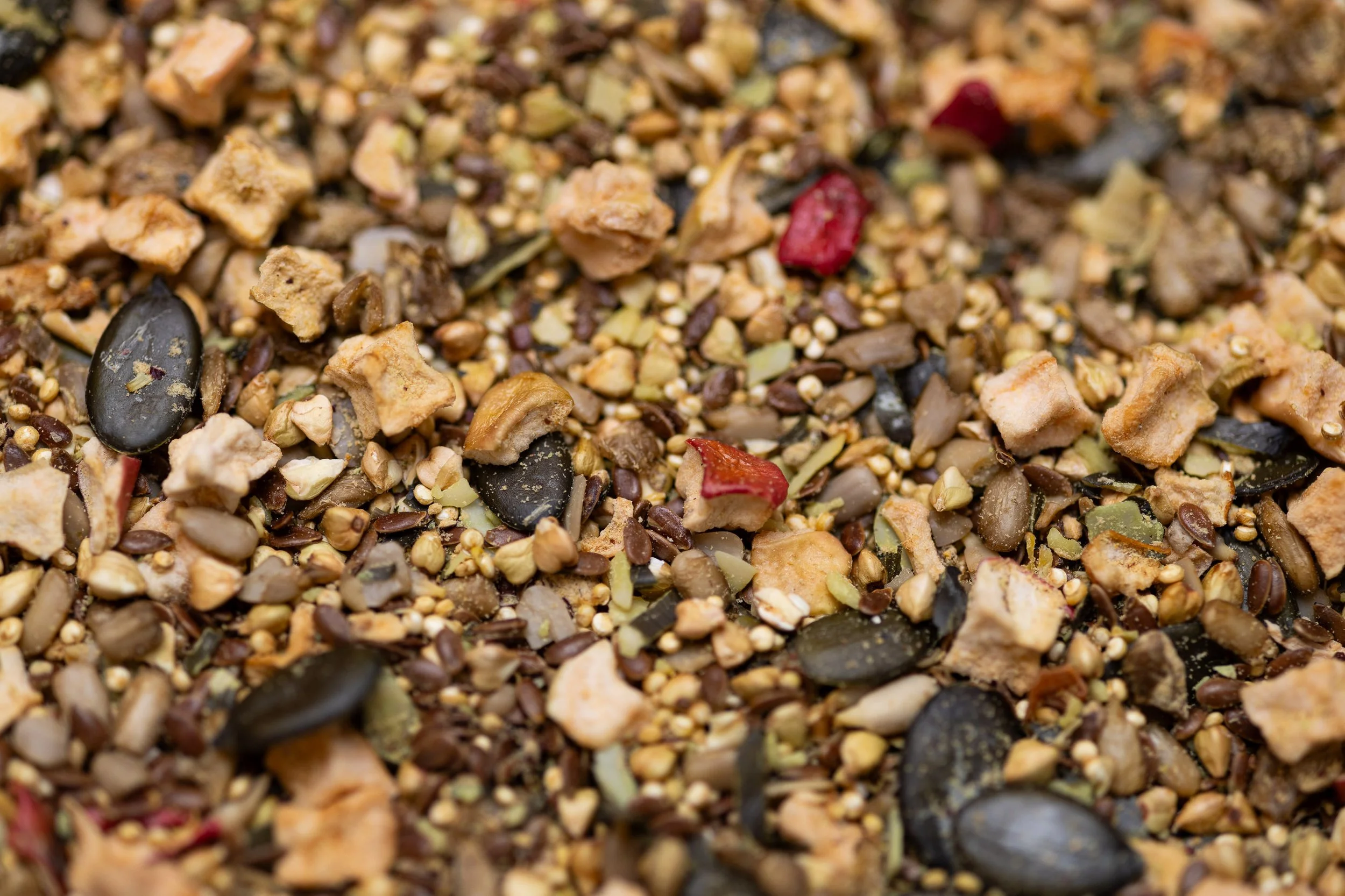 Nahaufnahme einer Mischung aus gekeimten getrockneten Samen und Saaten mit roten getrockneten Apfelwürfeln