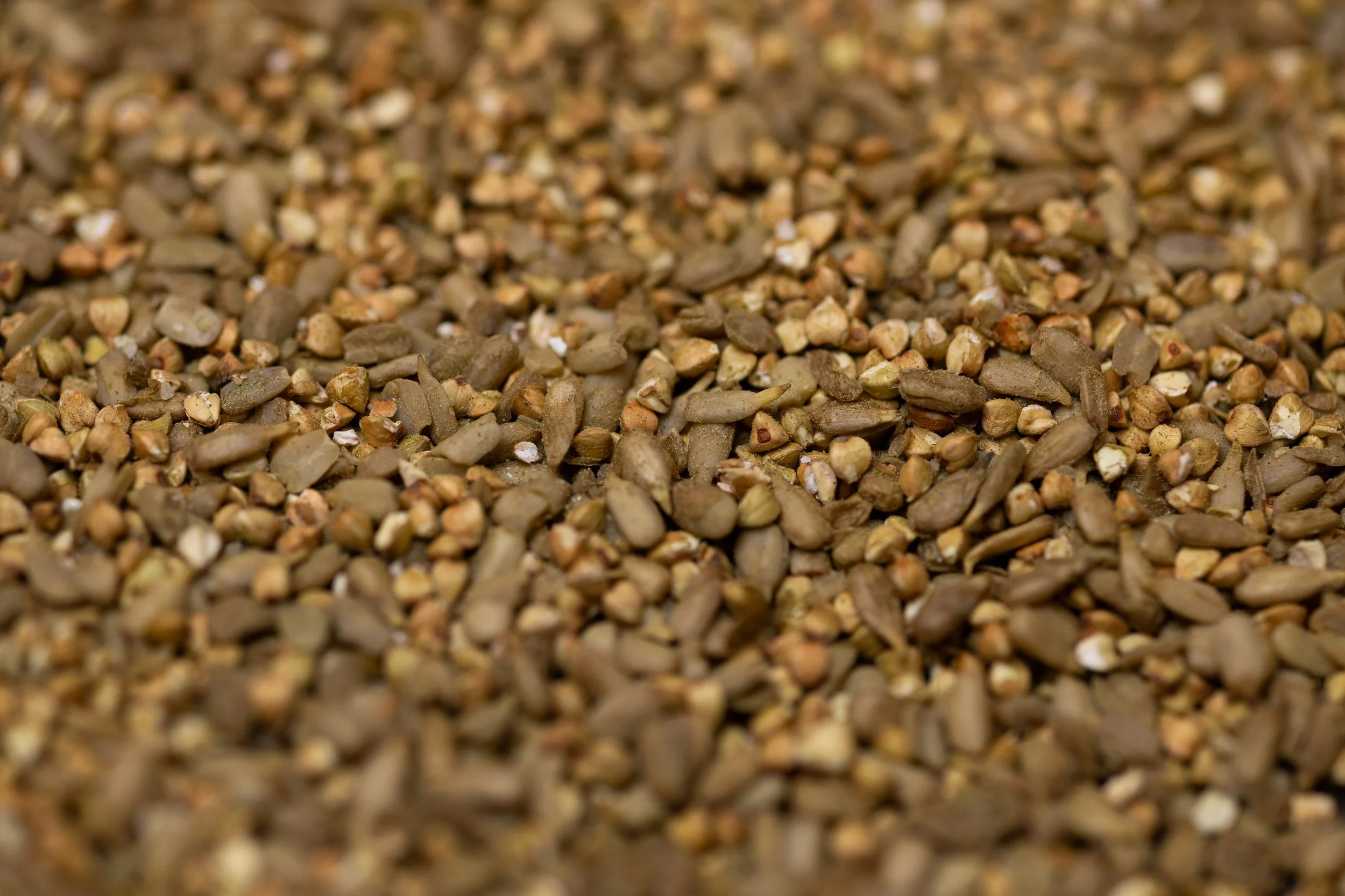 Mischung aus getrockneten gekeimten Sonnenblumenkernen und Buchweizen, leicht grün durch Basilikum, Spinatpulver und Zwiebel