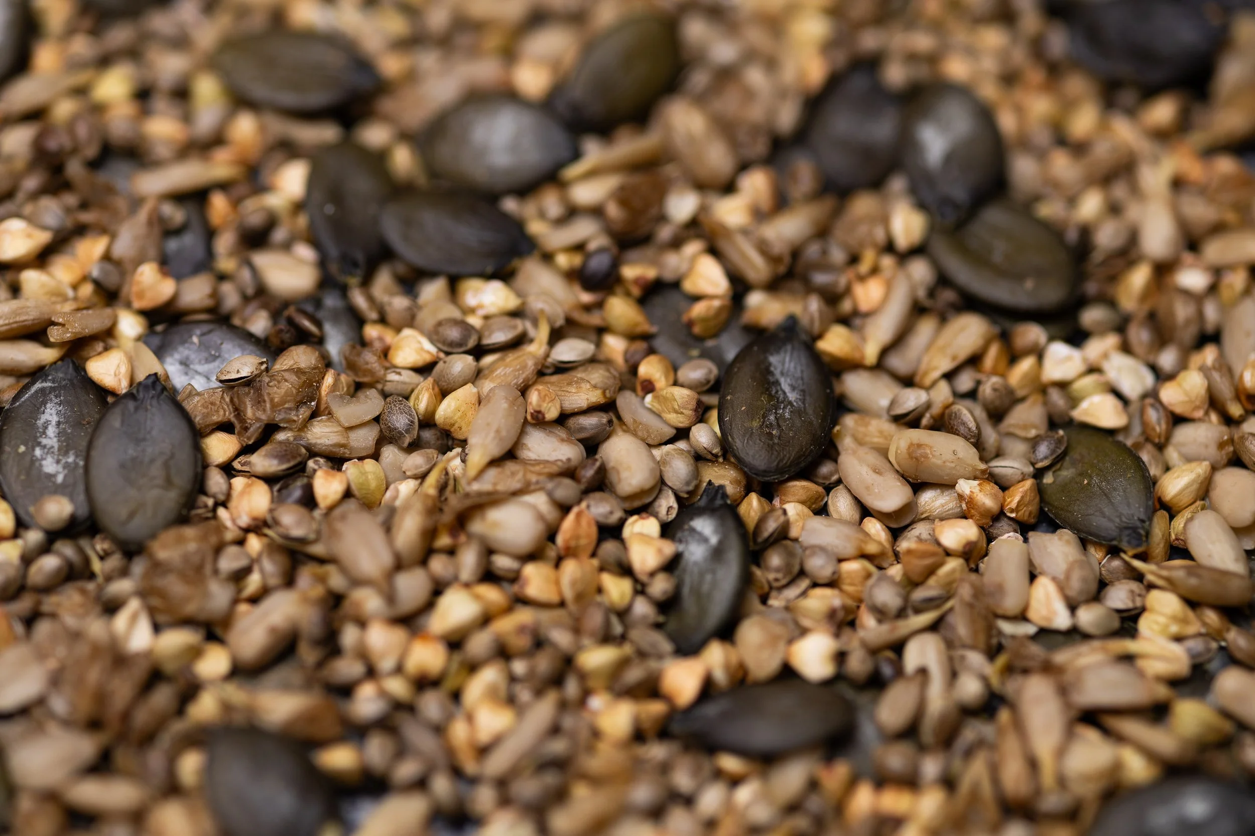 Mischung aus gekeimten getrockneten Kürbiskernen, Sonnenblumen, Buchweizen und Hanf