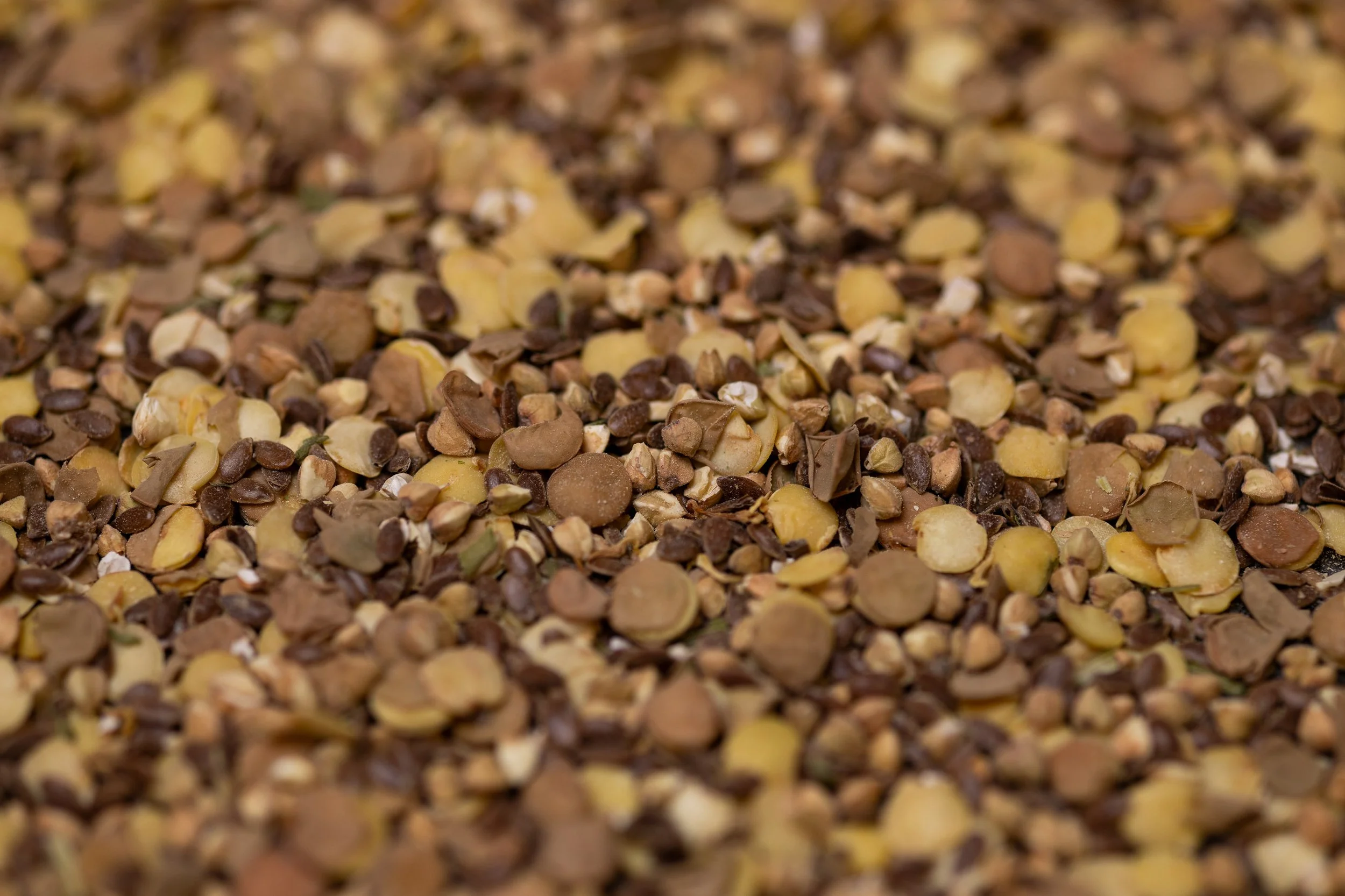 Mischung aus gekeimten, getrocknetem Buchweizen, Lein braun und gekeimten Linsen mit getrockneten Kräutern