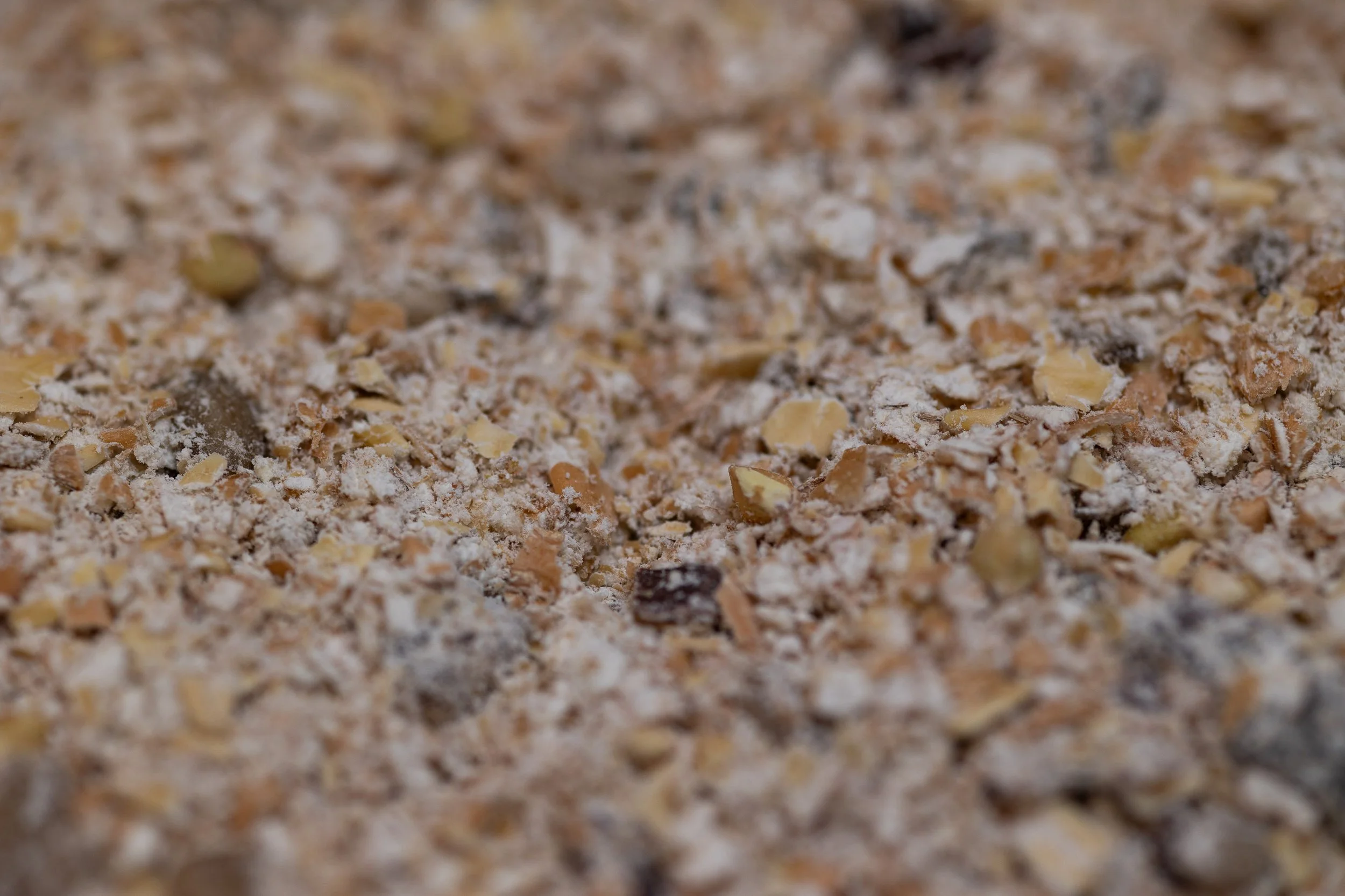 Müslimischung mit getrockneten Früchten