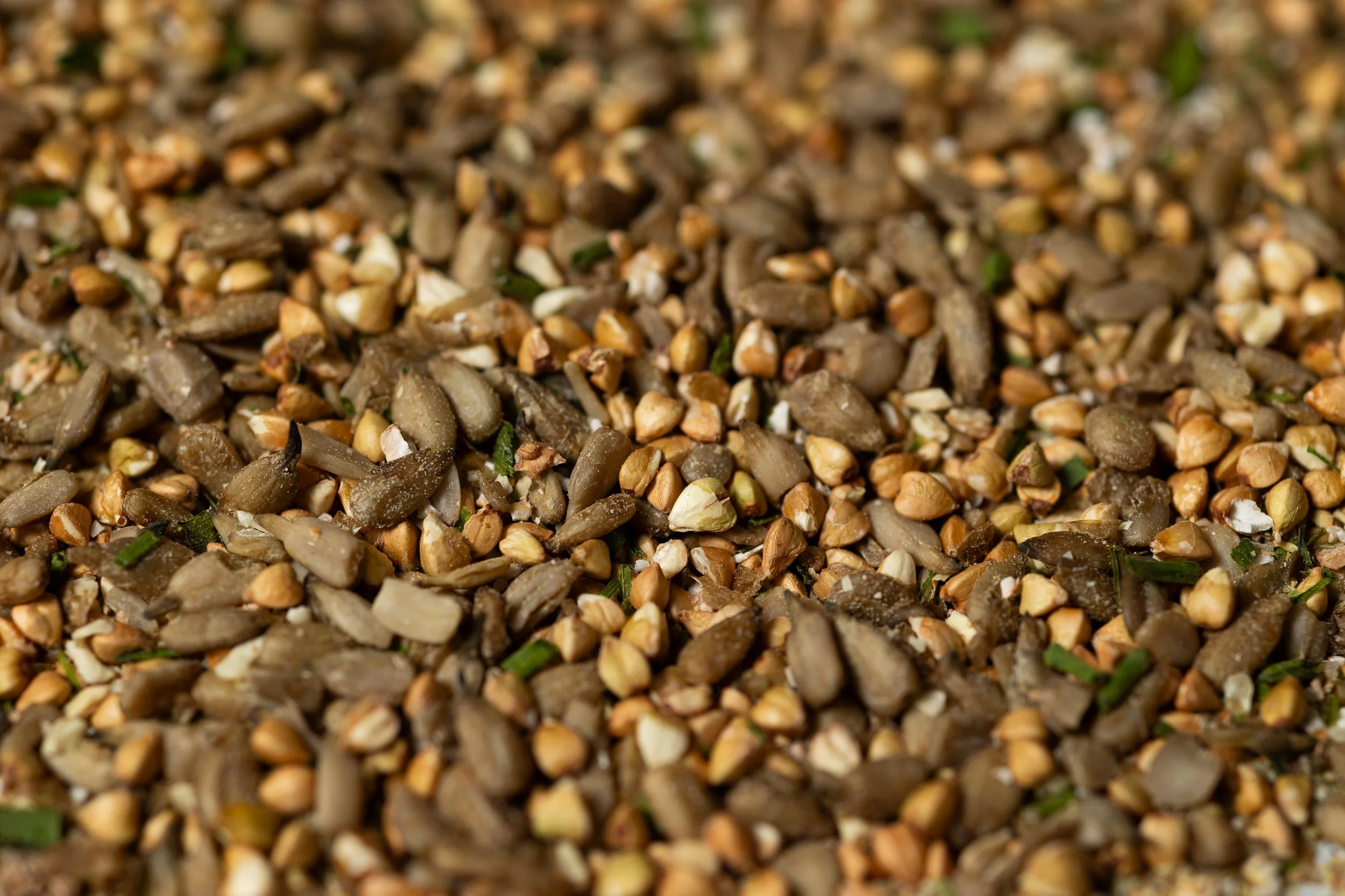Eine Nahaufnahme gemischter gekeimter Samen und Saaten