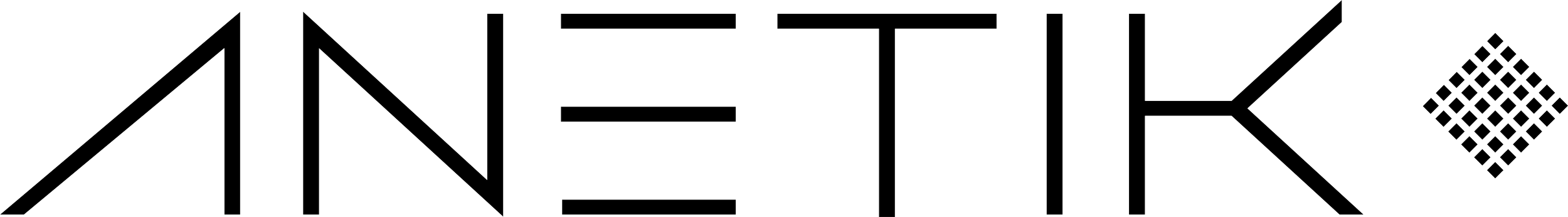 ANETIK LOGO.png