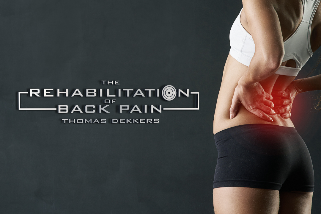 The Rehabilitation of Back Pain (1 Day Course) - LONDON
