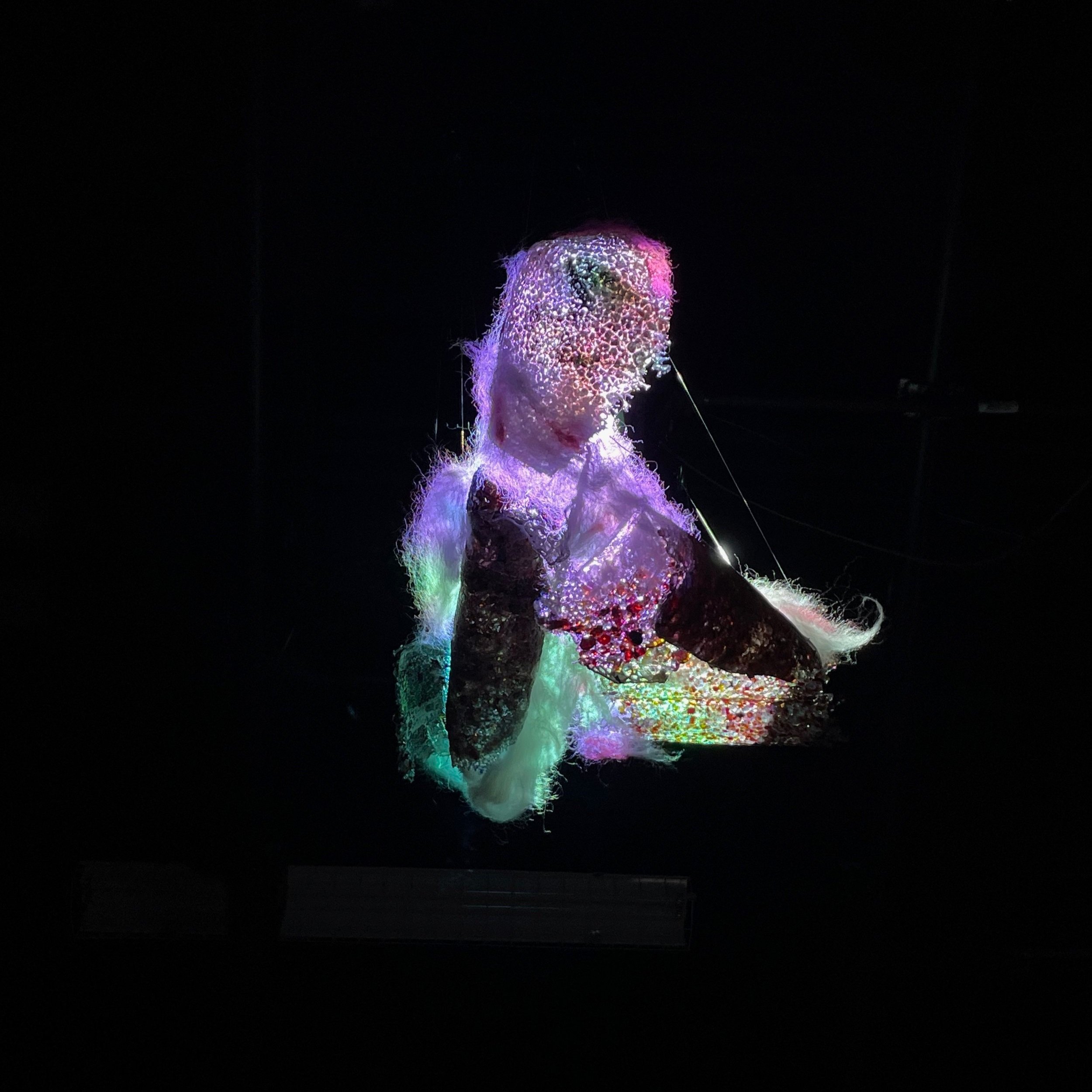 Projection on Glass, Crochet