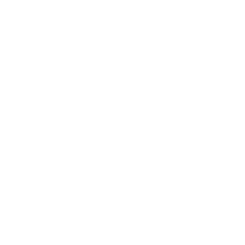 Amelia Fiduccia Design