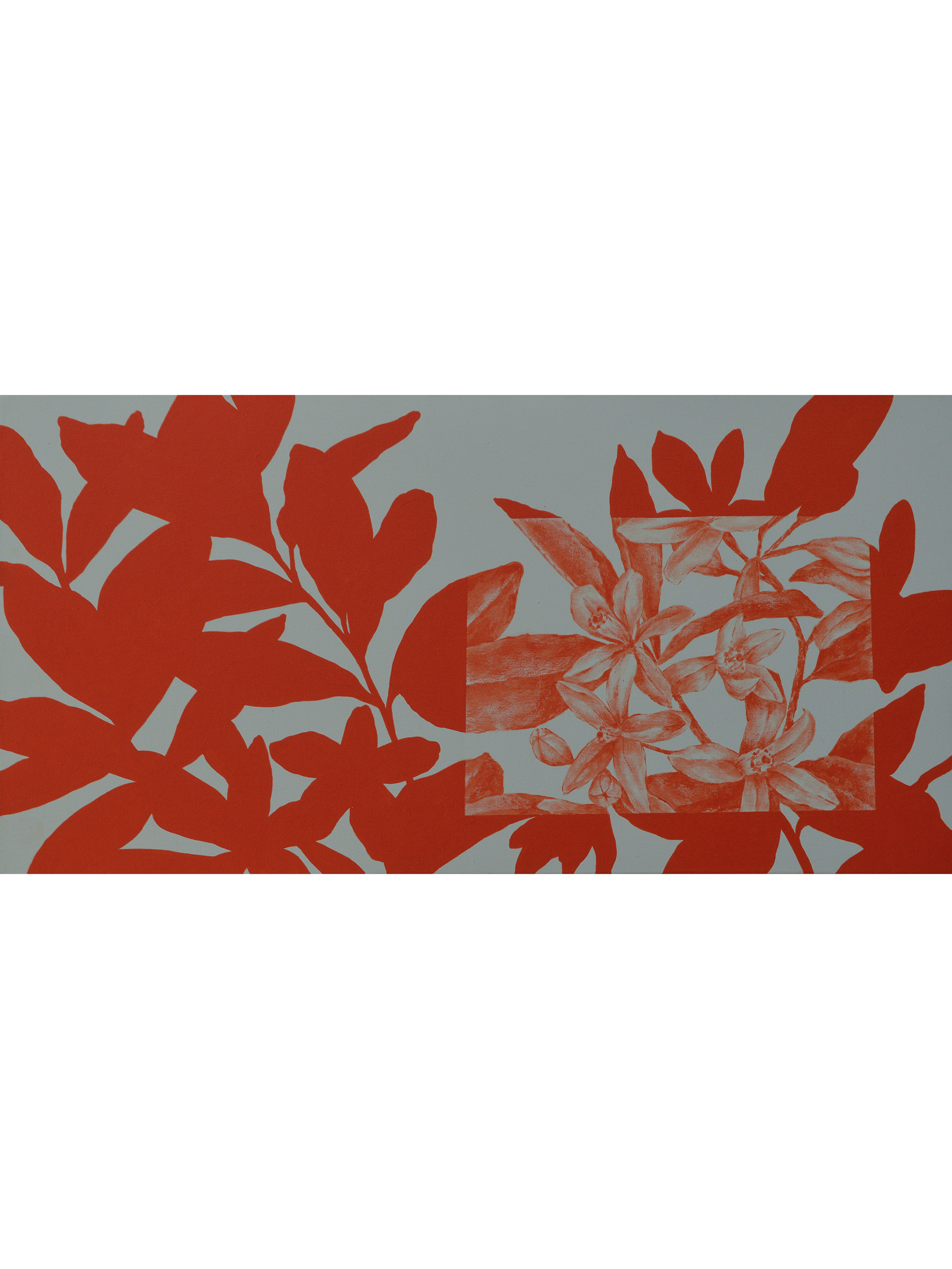 Jardn SN 2_1.png