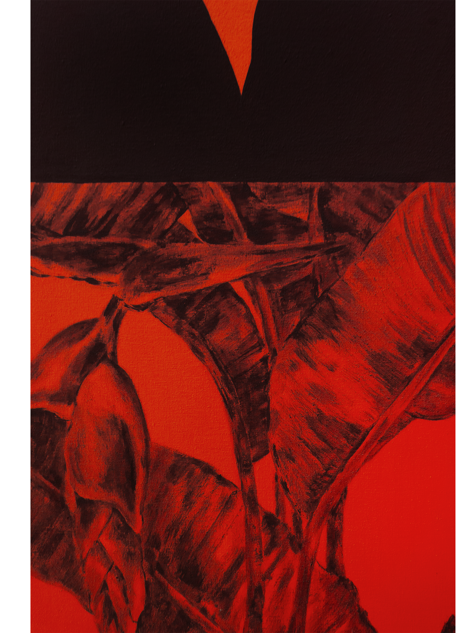Jardn SN 1_2.png