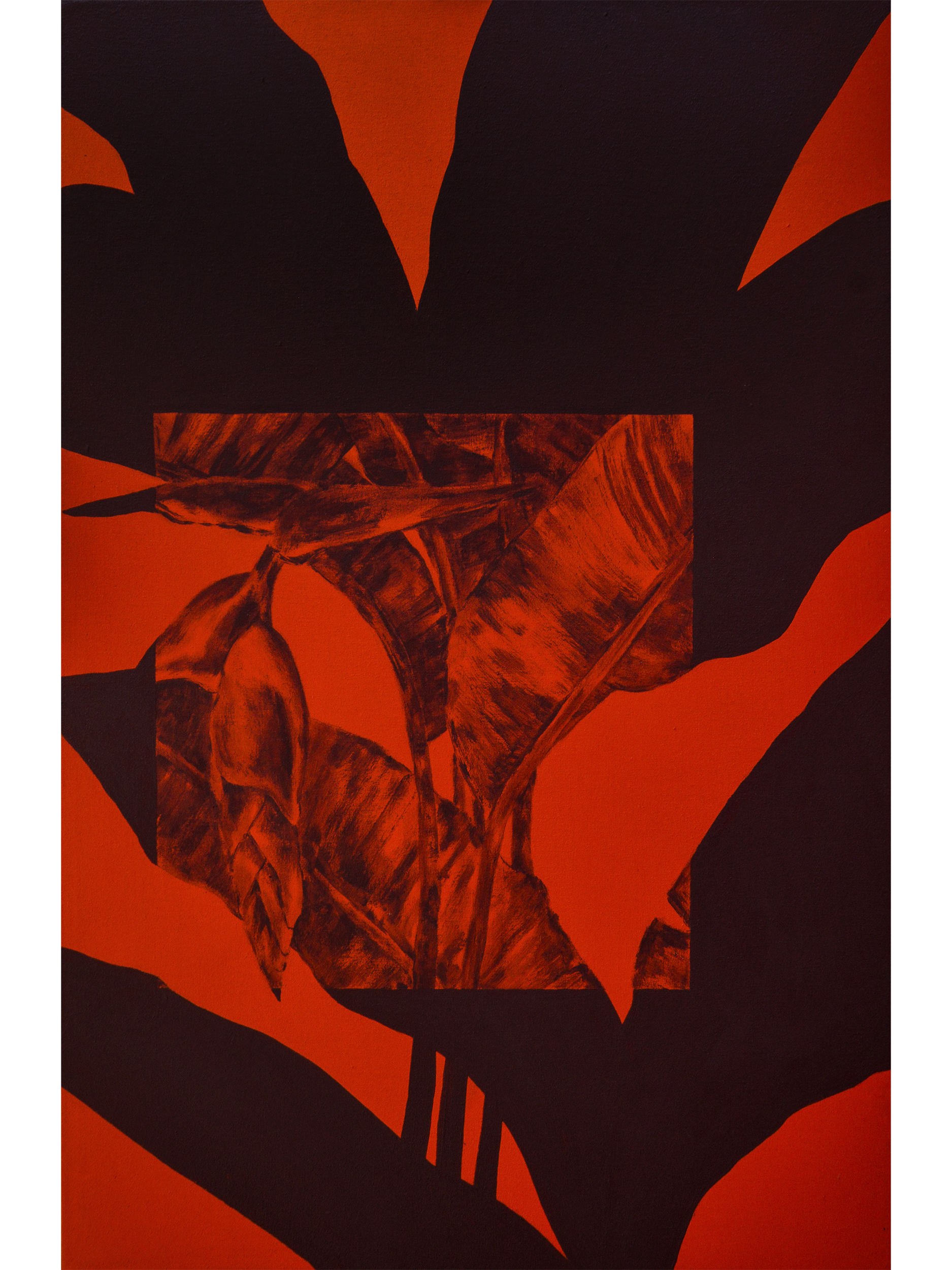 Jardn SN 1_1.png