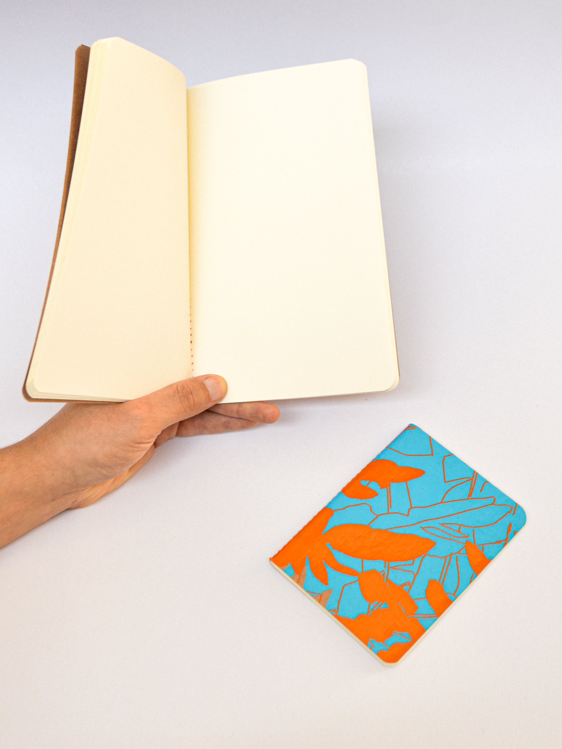 Libretas palma_3.jpg