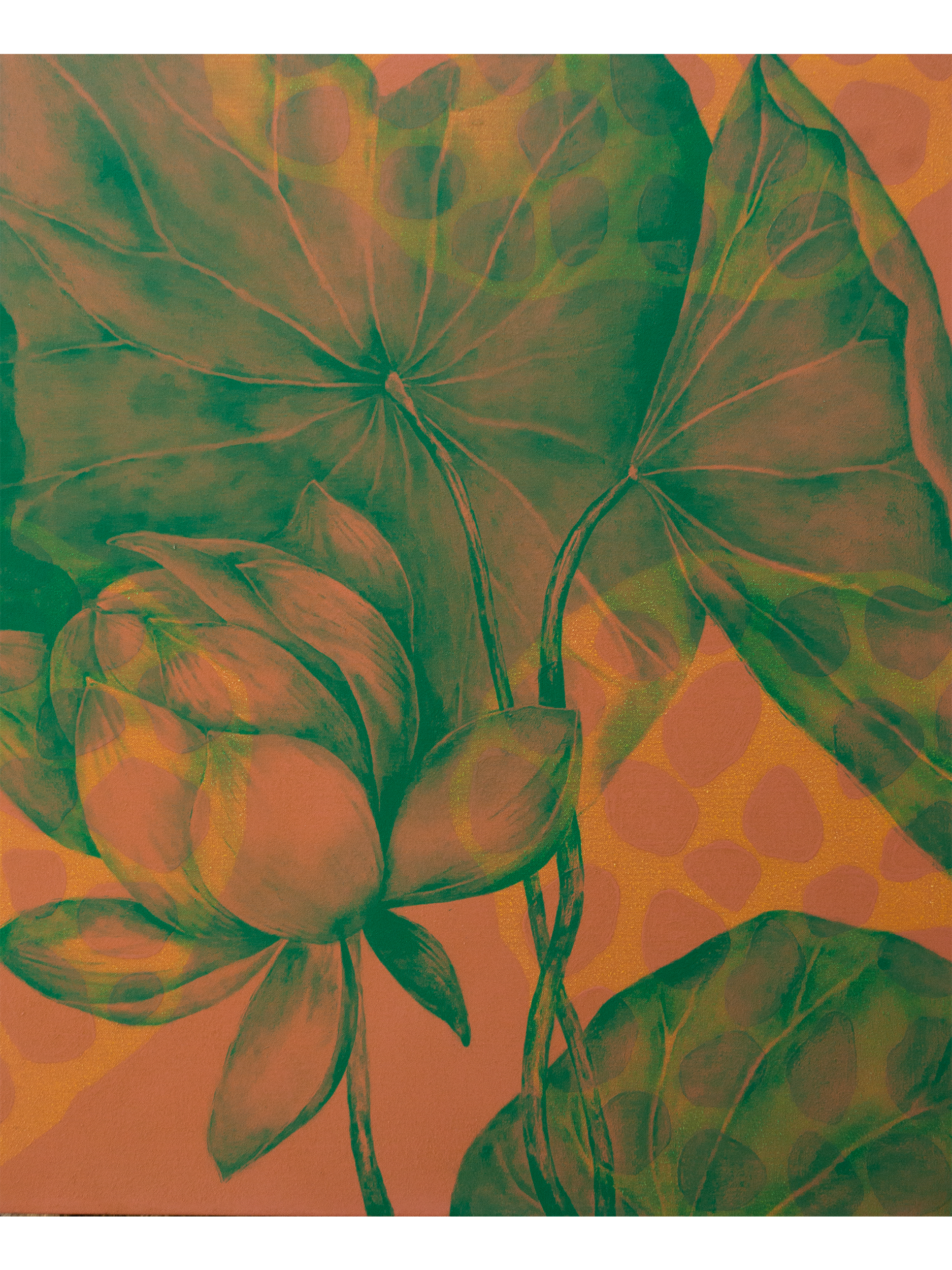 Jardin 25_1.png