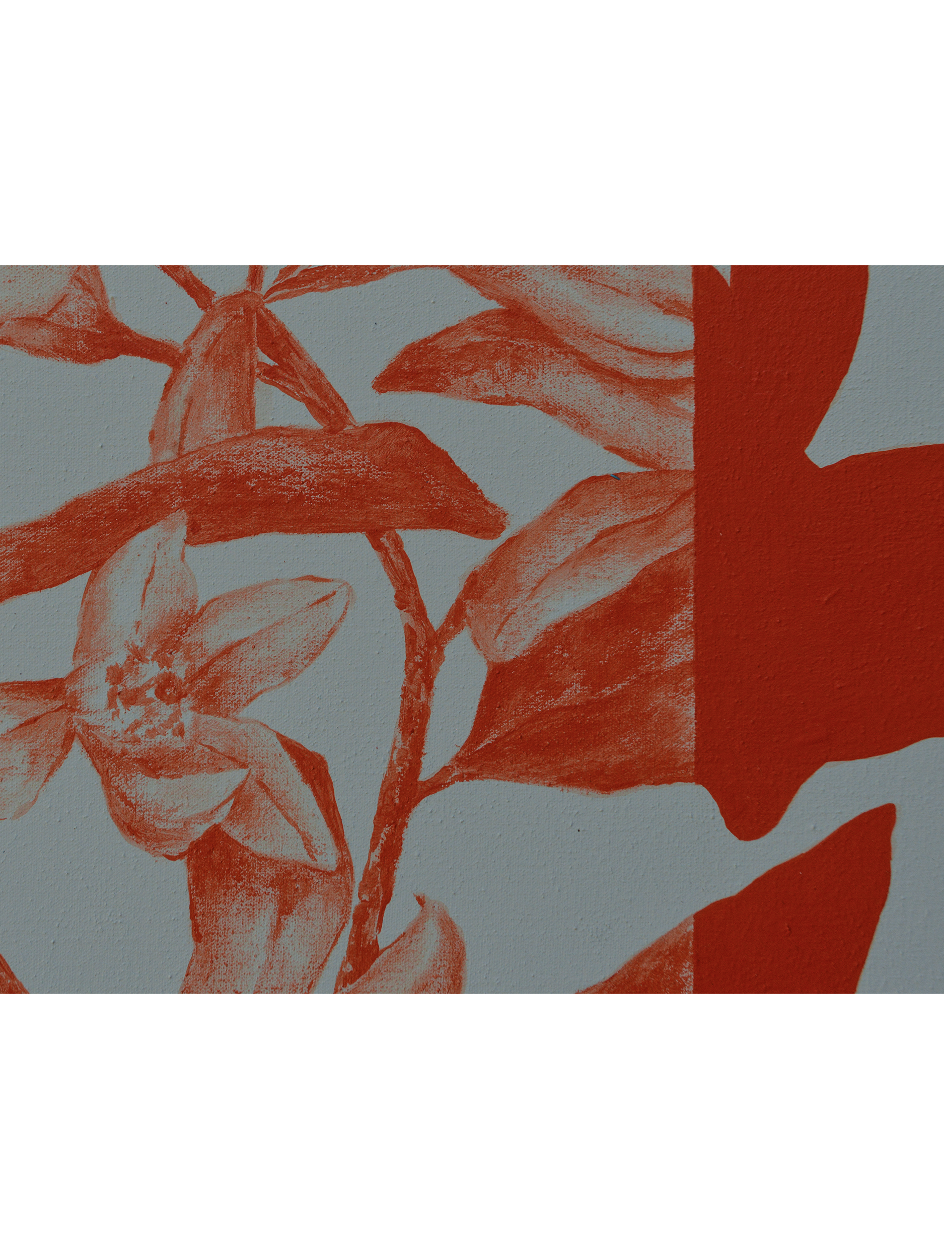 Jardn SN 2_2.png