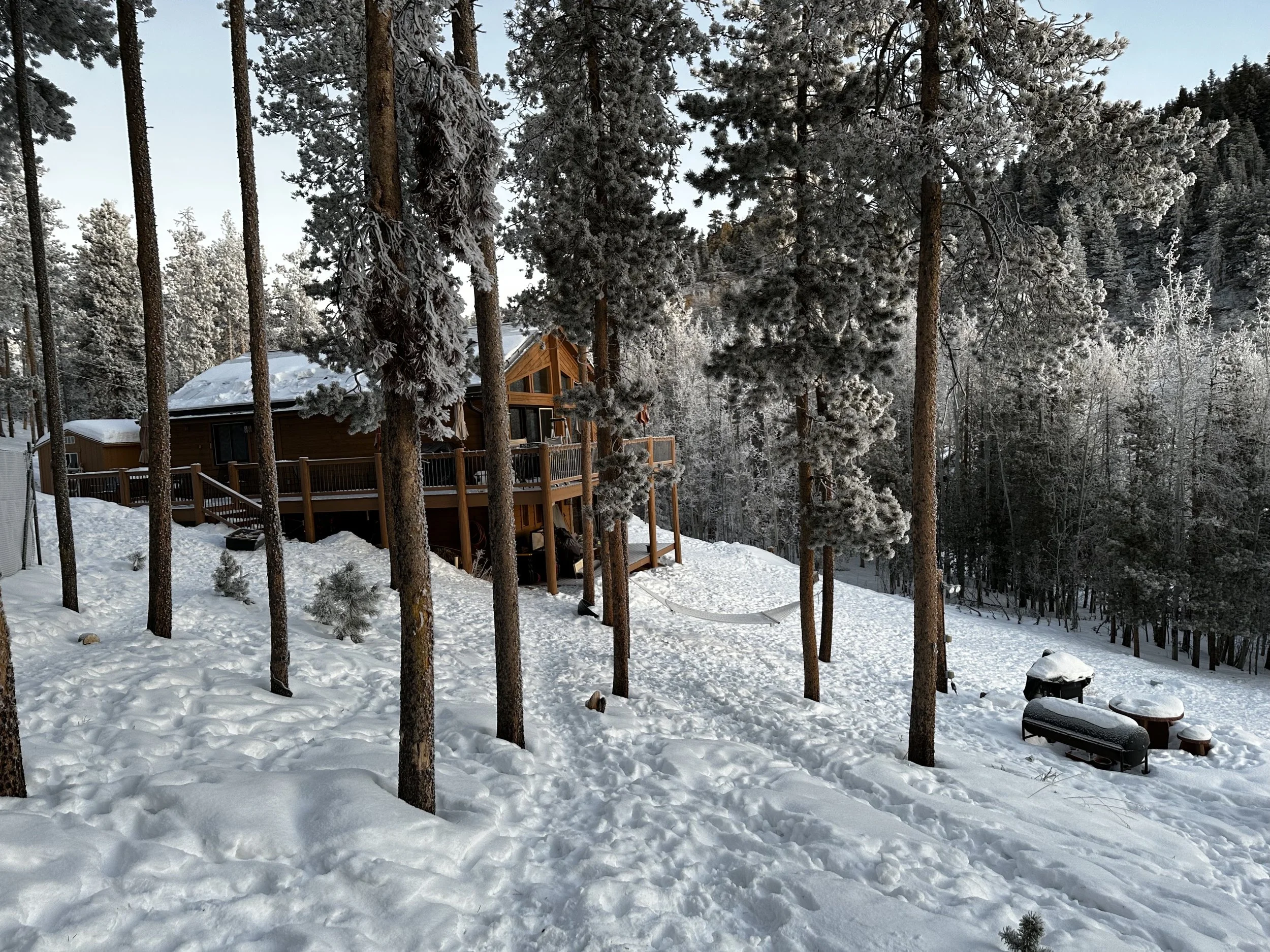 Goins Dr - Jan 29 23 2.jpg