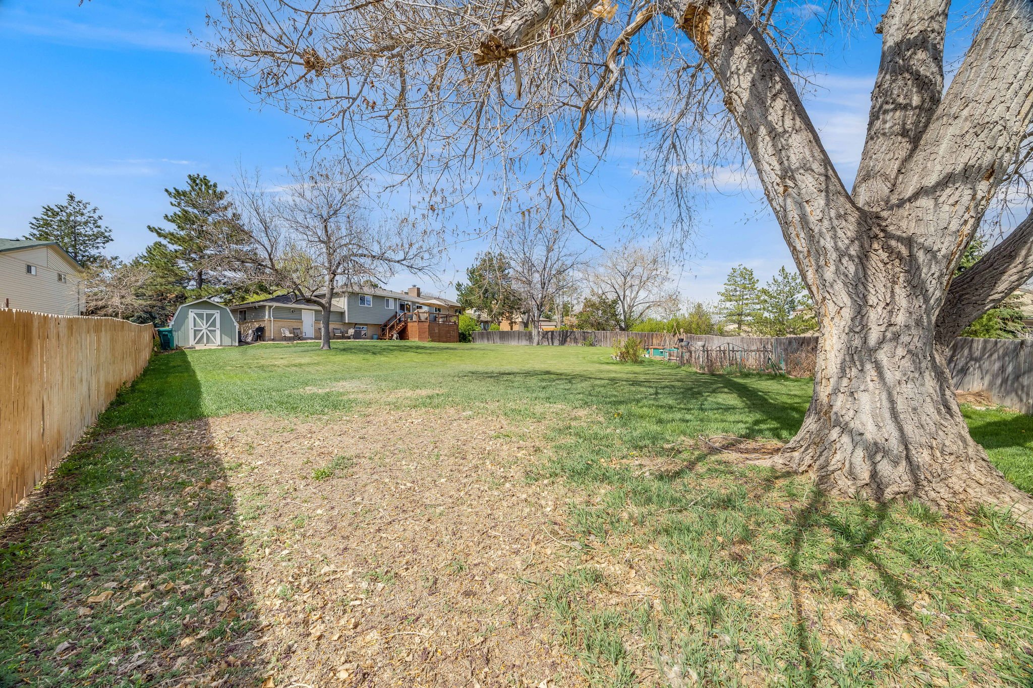 36-web-or-mls-13654-omega-cir.jpg