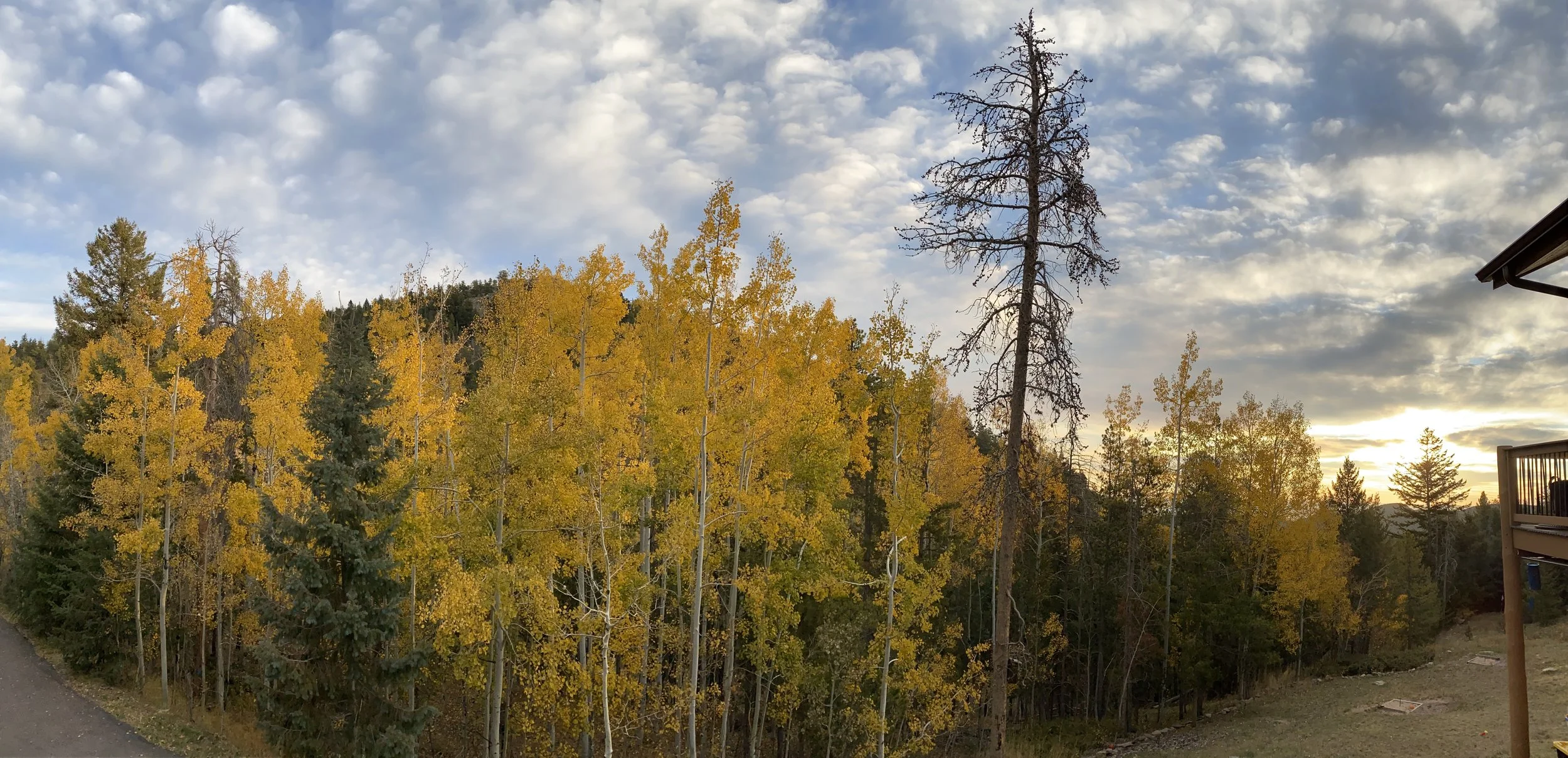 Goins Dr - Oct 21 22.jpg