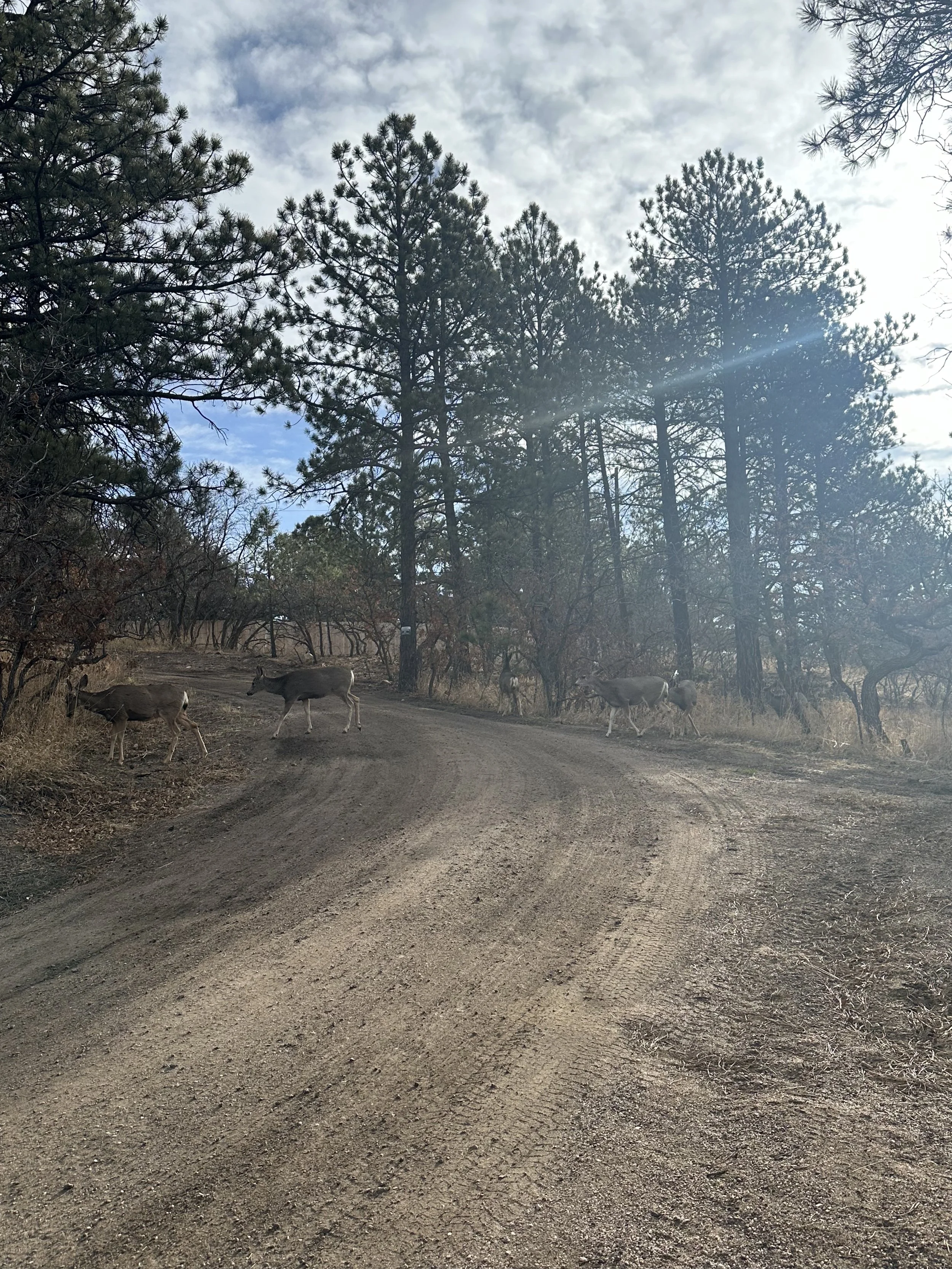 IMG_9125.jpg