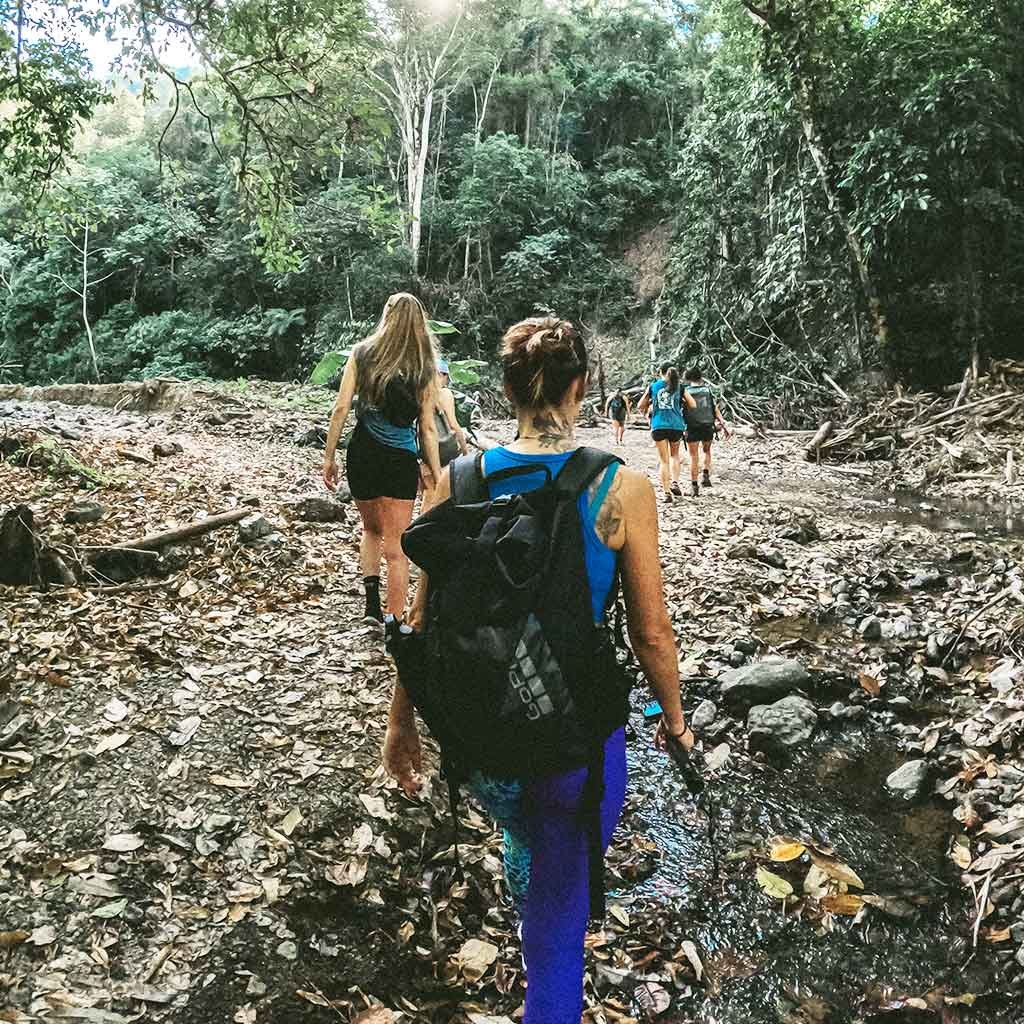 surf-synergy-excursion