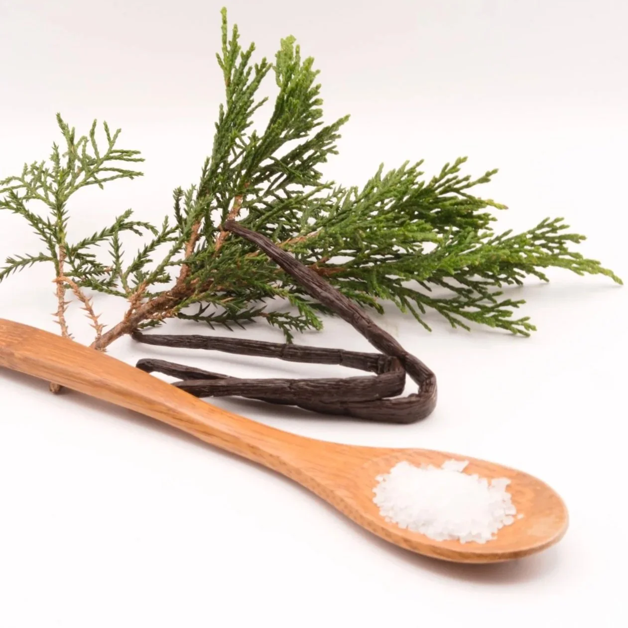 Understanding and Managing Demodex Mites 