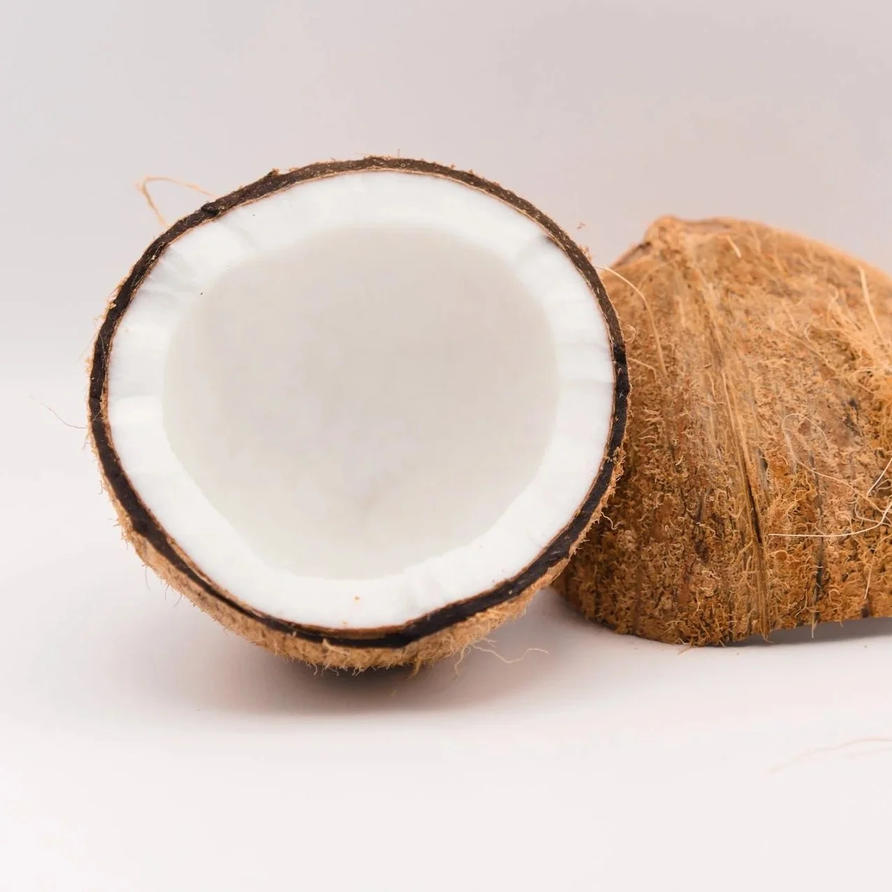 Coconut+1.jpg