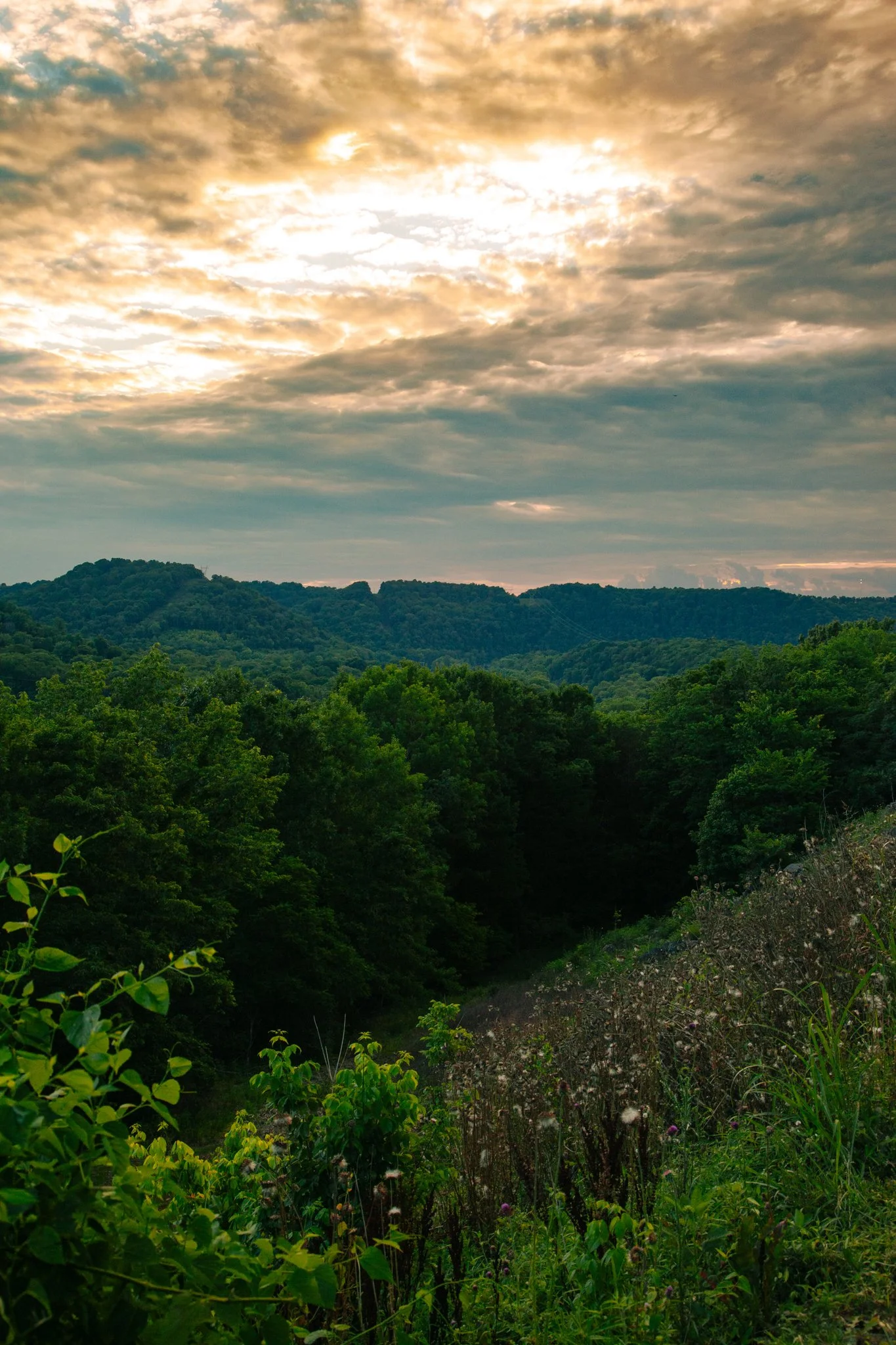 A scenic view of a lush green forested landscape with rolling hills under a partly cloudy sky during sunset.