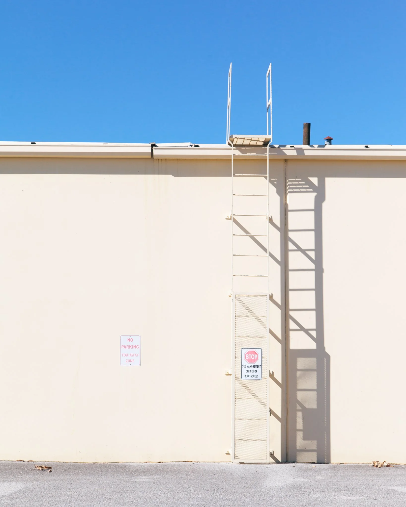 A plain, beige wall with three signs, a fire escape ladder, and a blue sky. The signs include a "No Parking Tow Away Zone" sign, a "Stop See Management Office for Roof Access" sign, and an empty sign holder. The fire escape ladder is attached to the 
