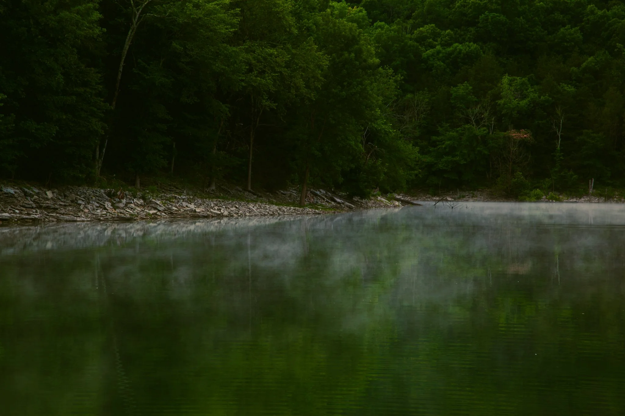 Calm river flowing through dense green forest with mist above the water.
