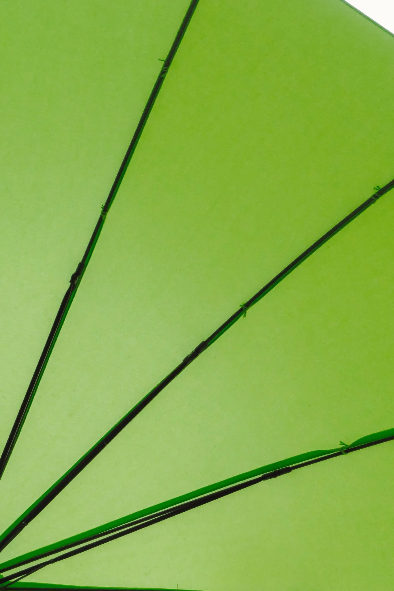 Close-up view of green fishing rods against a bright green background, possibly a fishing net or umbrella.