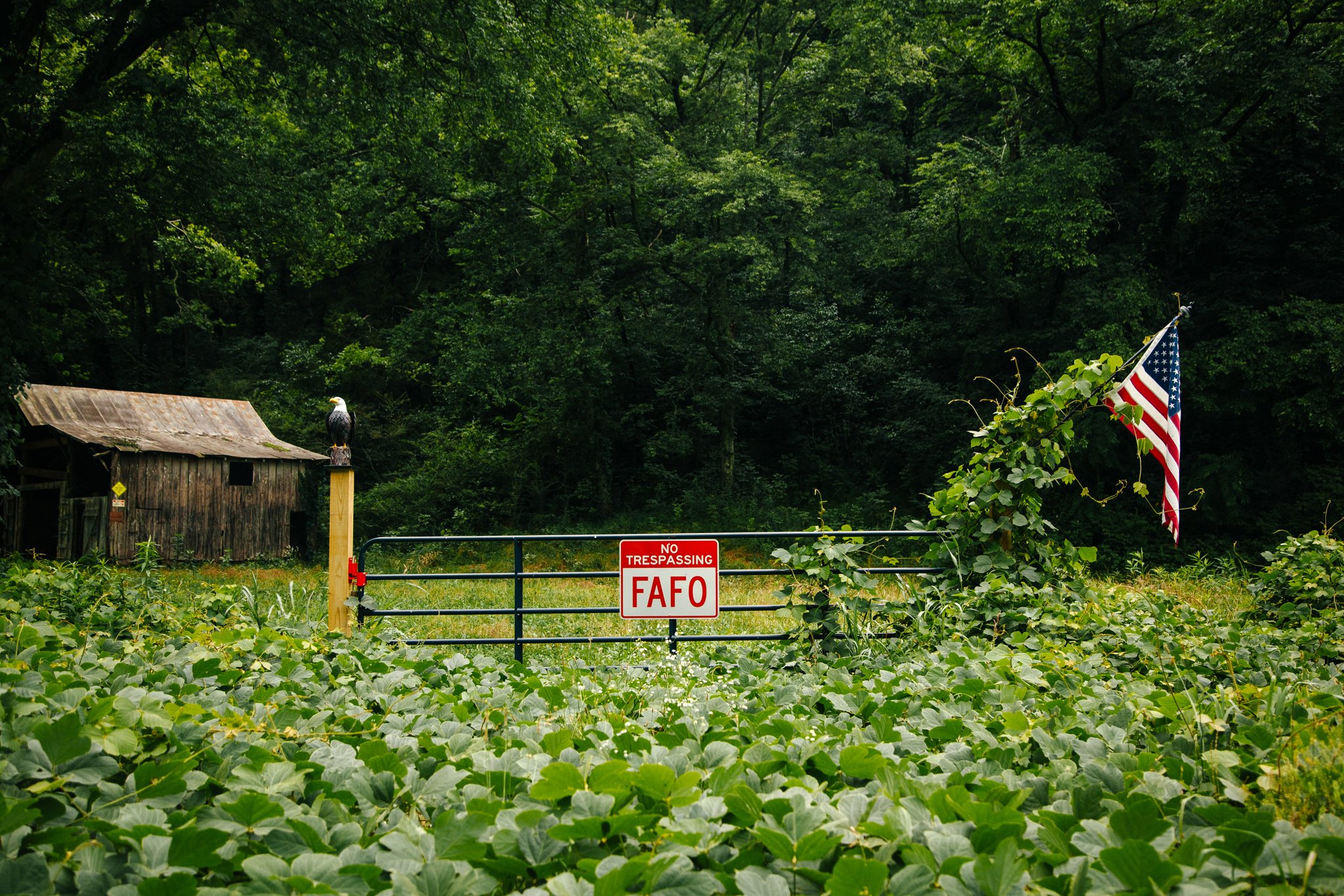 A rural scene with dense green trees in the background, an old weathered wooden shed on the left, a bald eagle perched on a post, and an American flag flying on the right, with a 'No Trespassing' sign and a metal gate in the foreground.