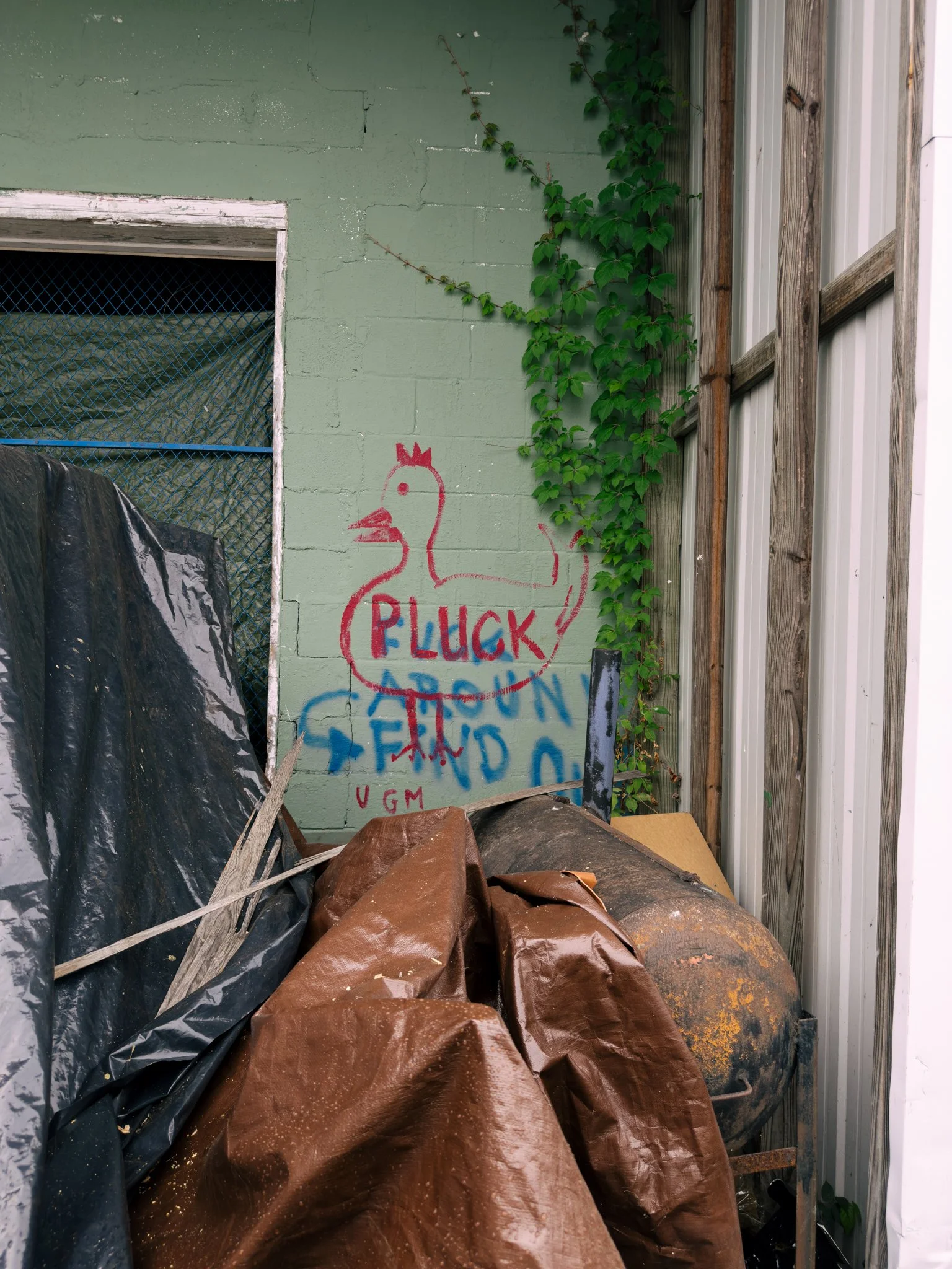 A dilapidated outdoor area with a green painted wall, green vine plant growing on the corner, and graffiti of a chicken with the words 'Lucky Chicken' on the wall. There are large brown and black tarps or covers and old rubbish on the ground.