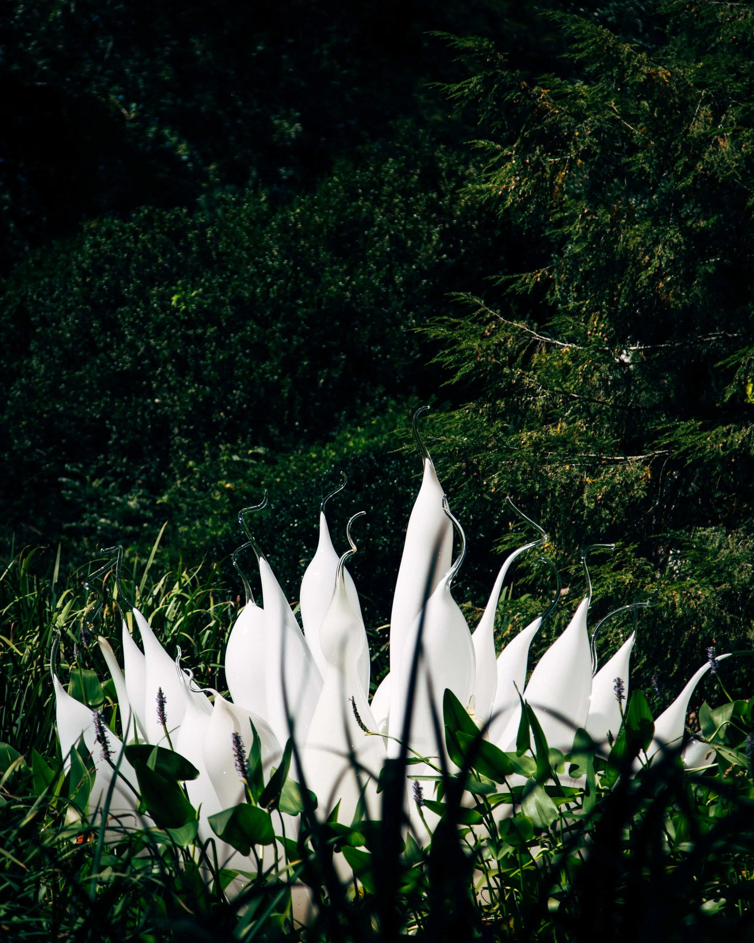 Art installation with numerous white, elongated, organic-shaped sculptures arranged in a circle amidst lush green plants and foliage, with trees in the background.