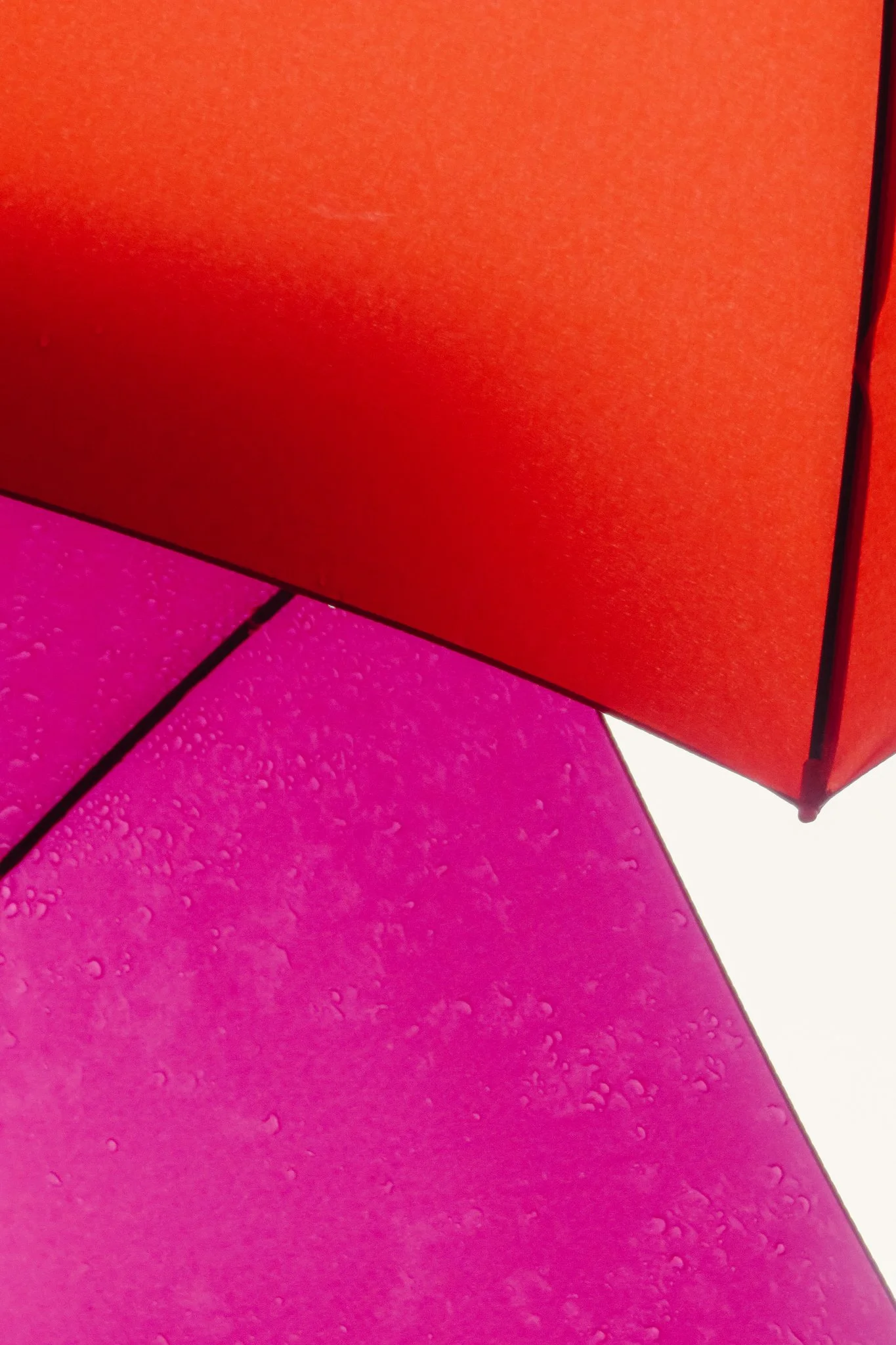 Close-up of a pink umbrella with water droplets on its surface and part of a red umbrella in the background.