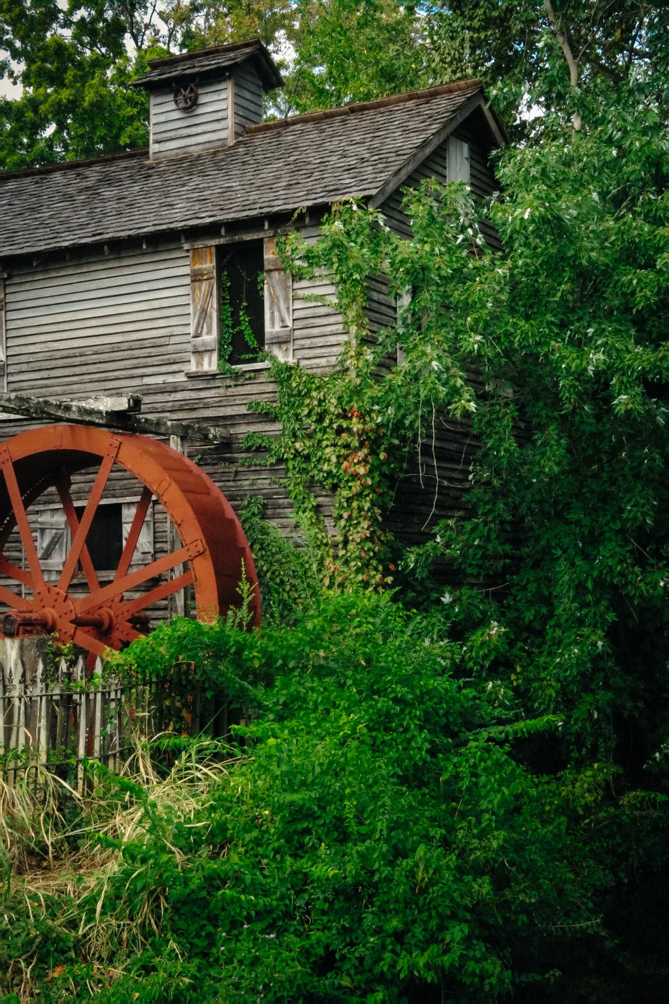 An old wooden barn with a shingled roof and a small tower-like structure on top, surrounded by dense green foliage and trees.