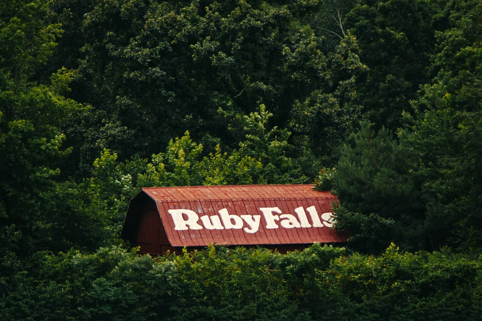 A red barn with a sign reading 'Rugby Falls' surrounded by dense, green trees.