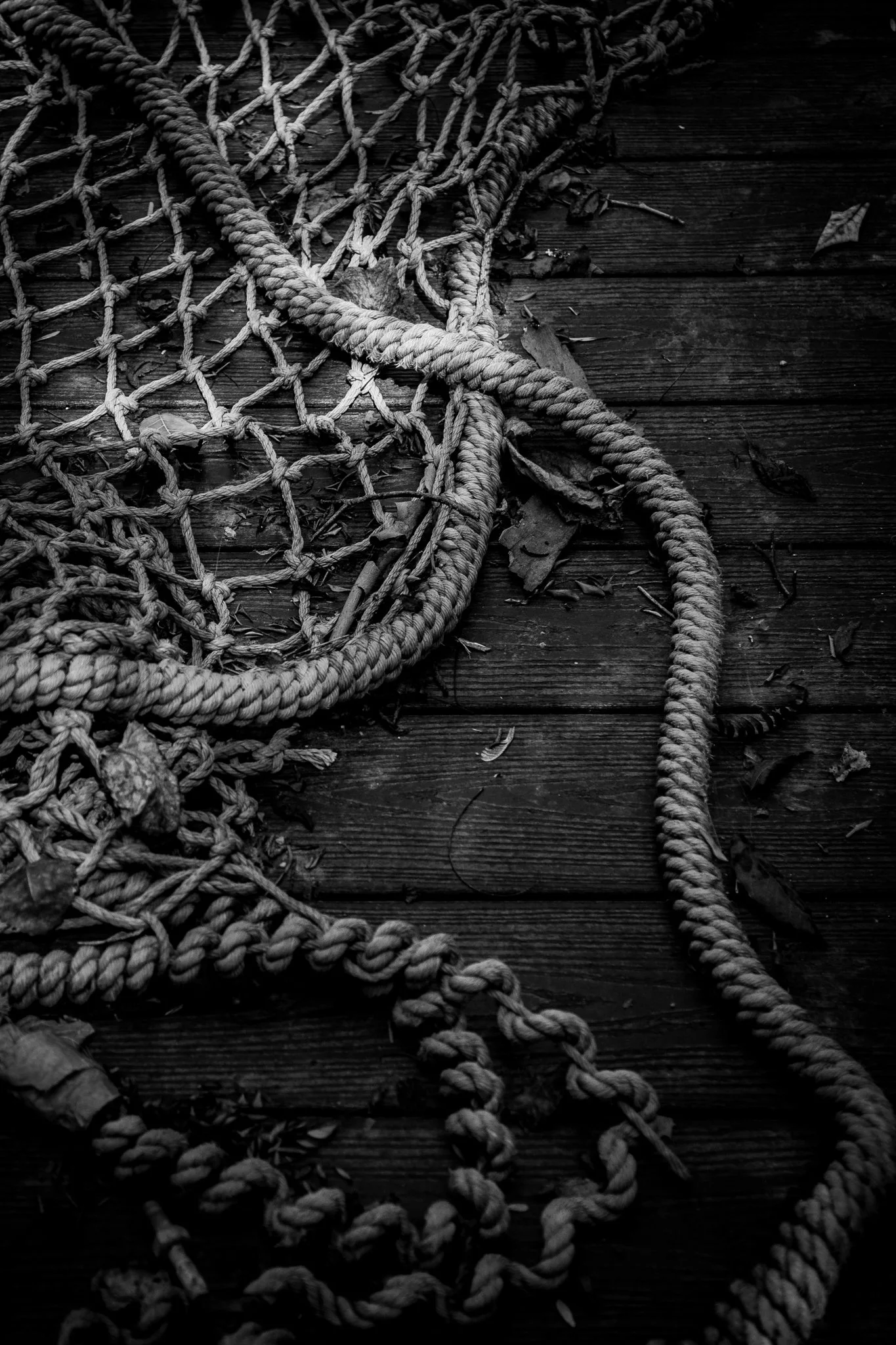 Black and white photo of tangled ropes on a weathered wooden surface with scattered leaves.