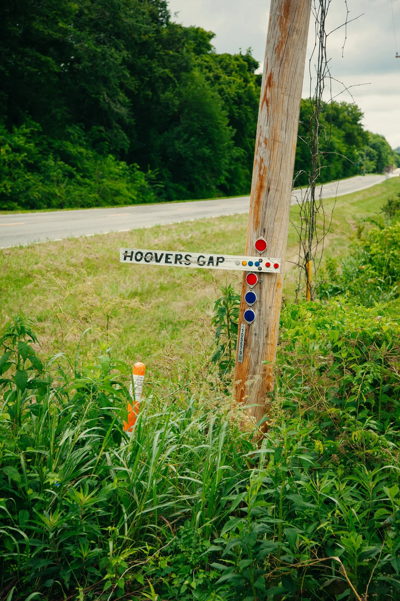 A wooden utility pole leaning to one side, with some vine growth on it, situated next to a rural roadside with a background of green trees and a cloudy sky.