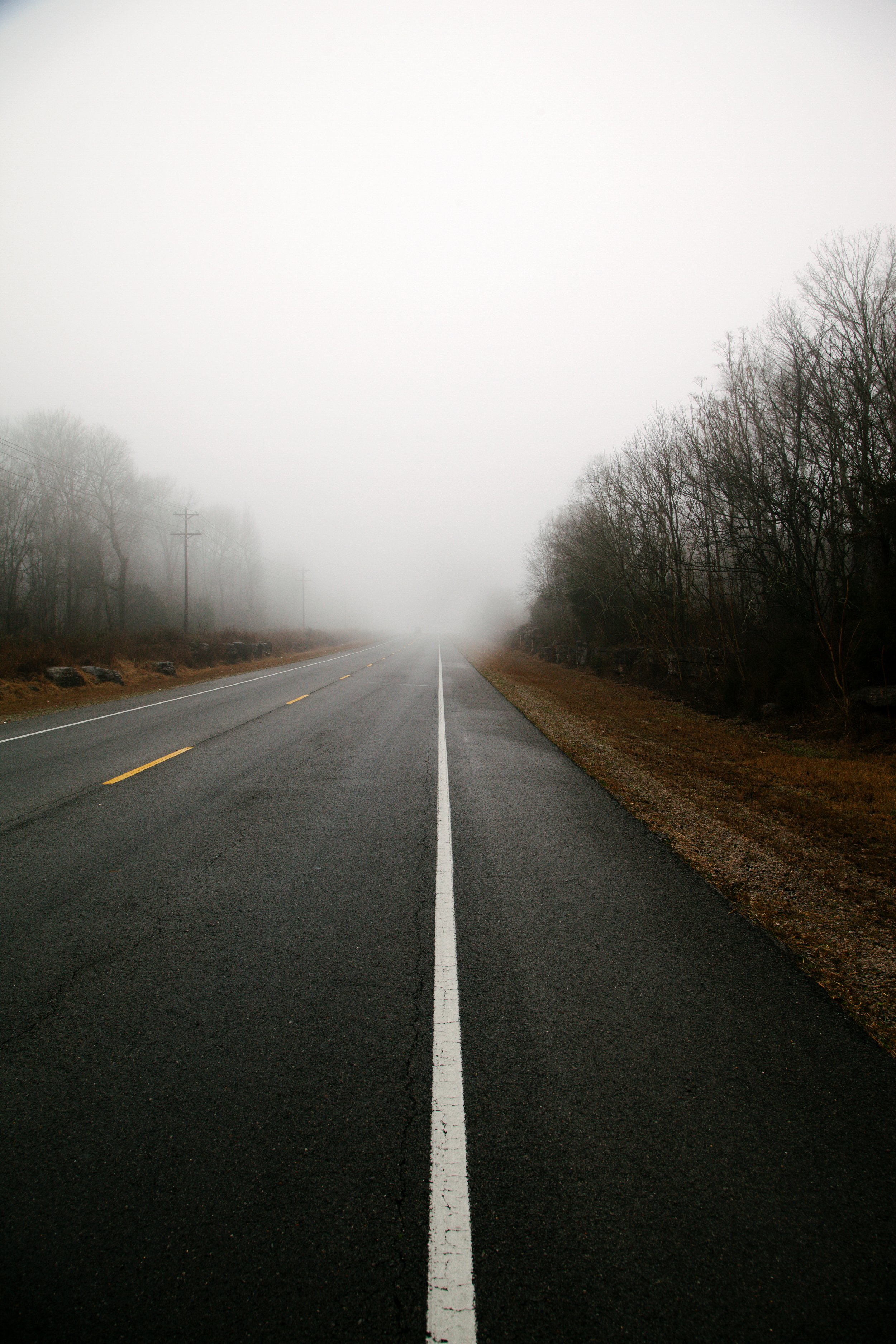 A straight two-lane road with a dashed yellow line in the middle and solid white lines on each side, disappearing into thick fog. Bare trees line the roadside on both sides.