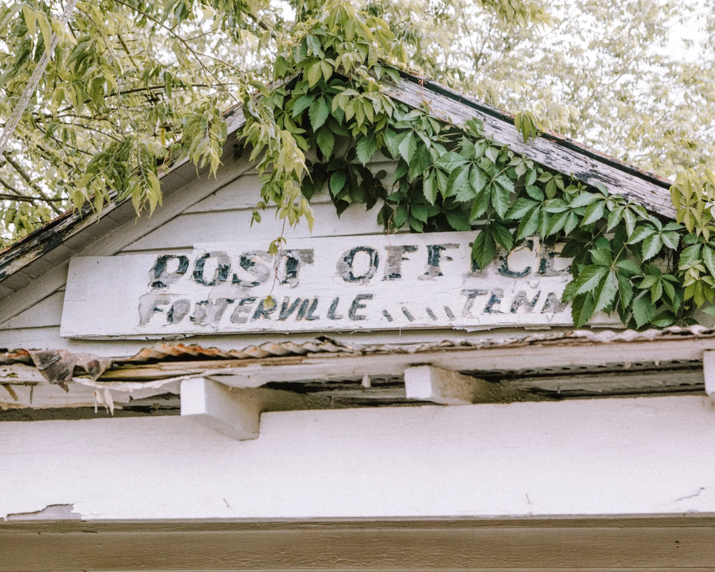 Close-up of an old, weathered sign on a building, with parts of wooden shingles and green ivy creeping around it.