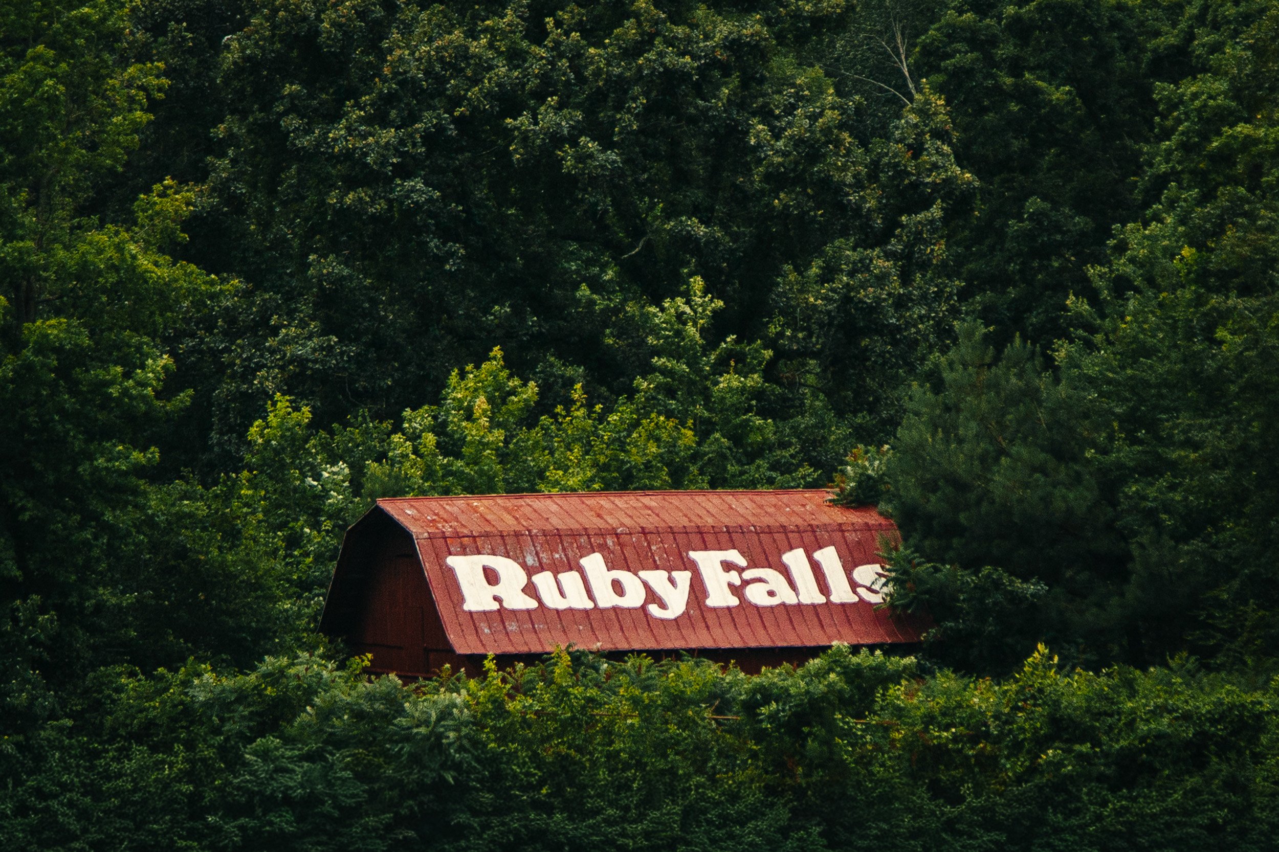 Ruby Falls - Fine Art Print
