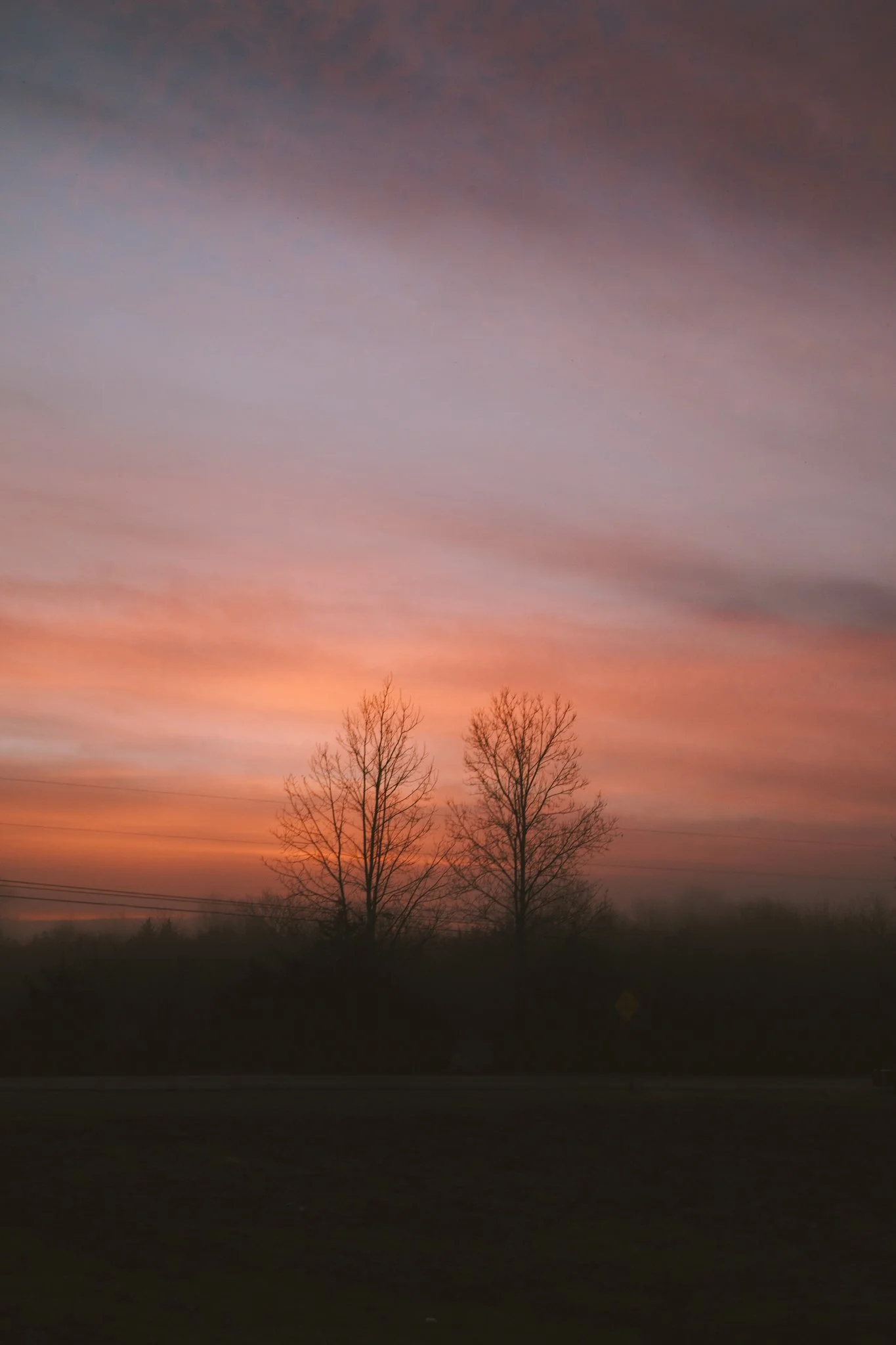 A sunset or sunrise sky with shades of orange, pink, purple, and blue, silhouetted trees without leaves, and power lines.