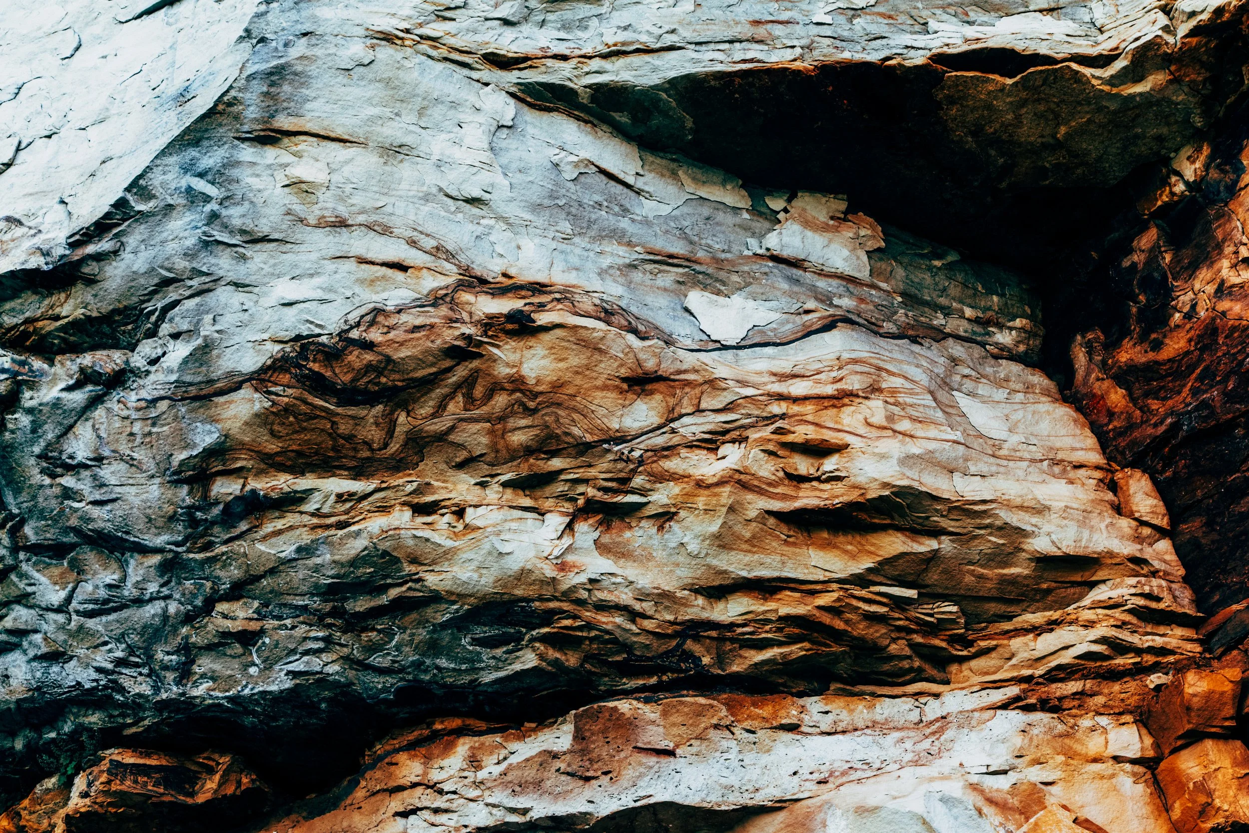 Close-up of textured rock formation with layered patterns and natural colors of beige, brown, gray, and black.