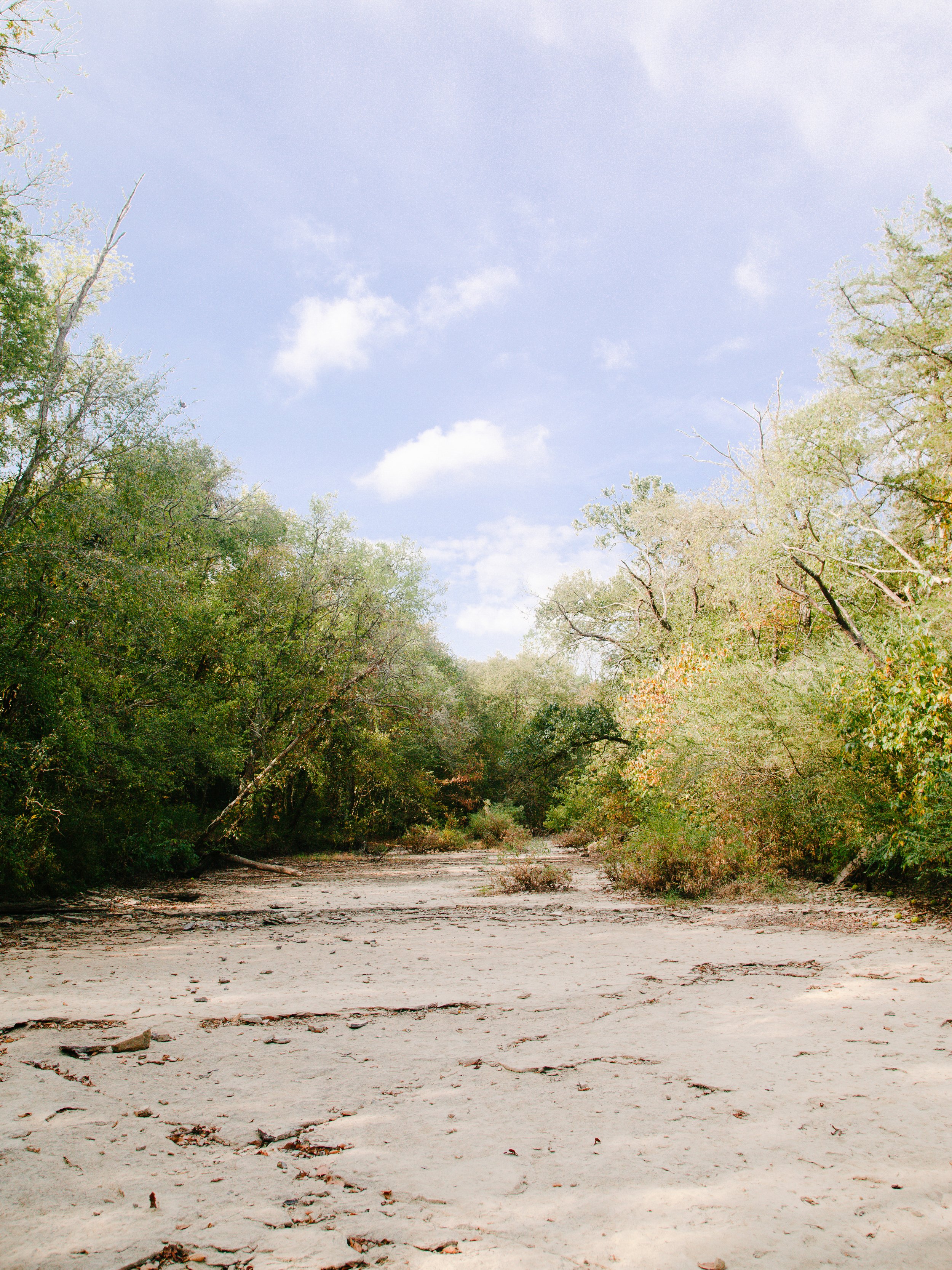 A dirt trail surrounded by trees and bushes with a partly cloudy blue sky above.