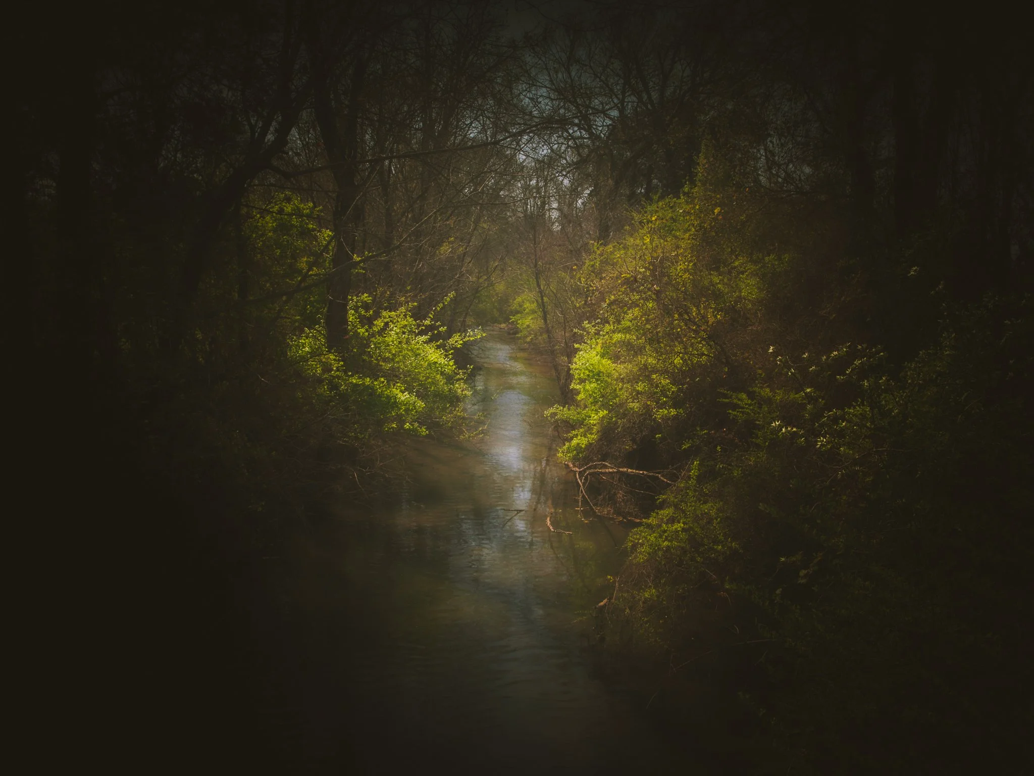 A nighttime scene of a wooded river, with trees lining the banks and moonlight reflecting on the water.