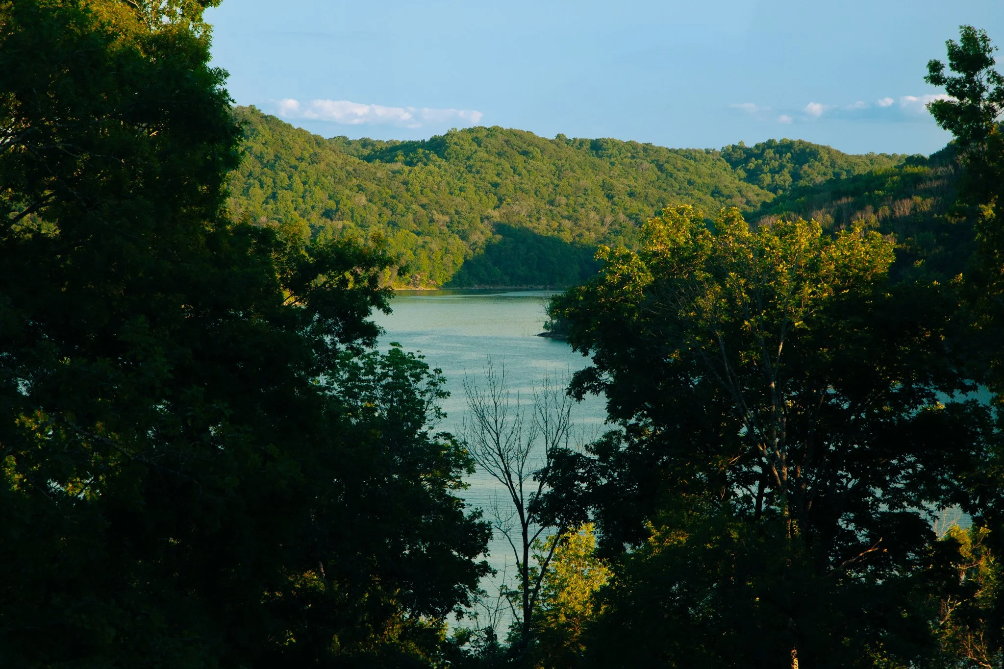 View of a river surrounded by lush green trees and hills on a sunny day.